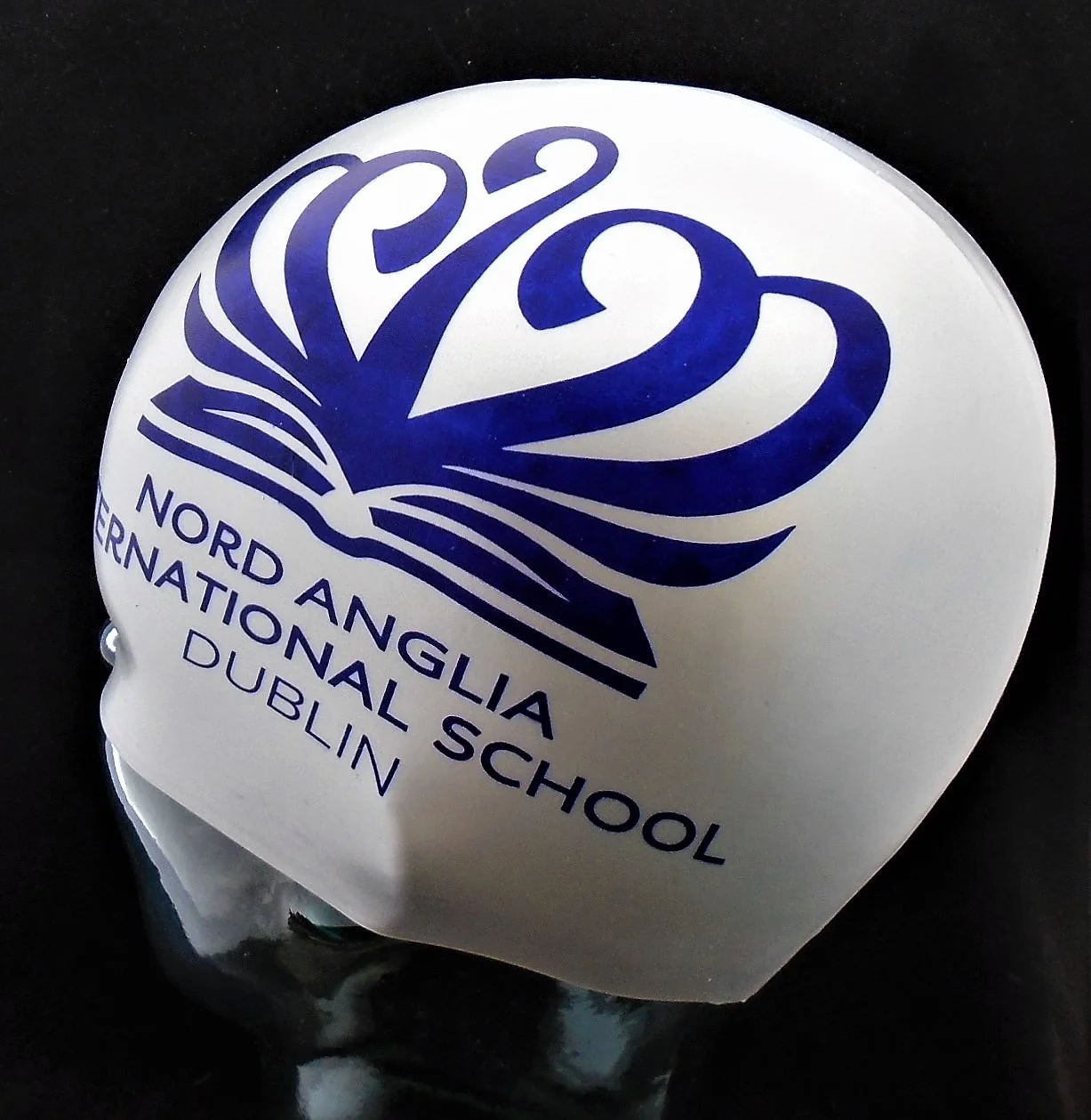 Nord Anglia.jpg