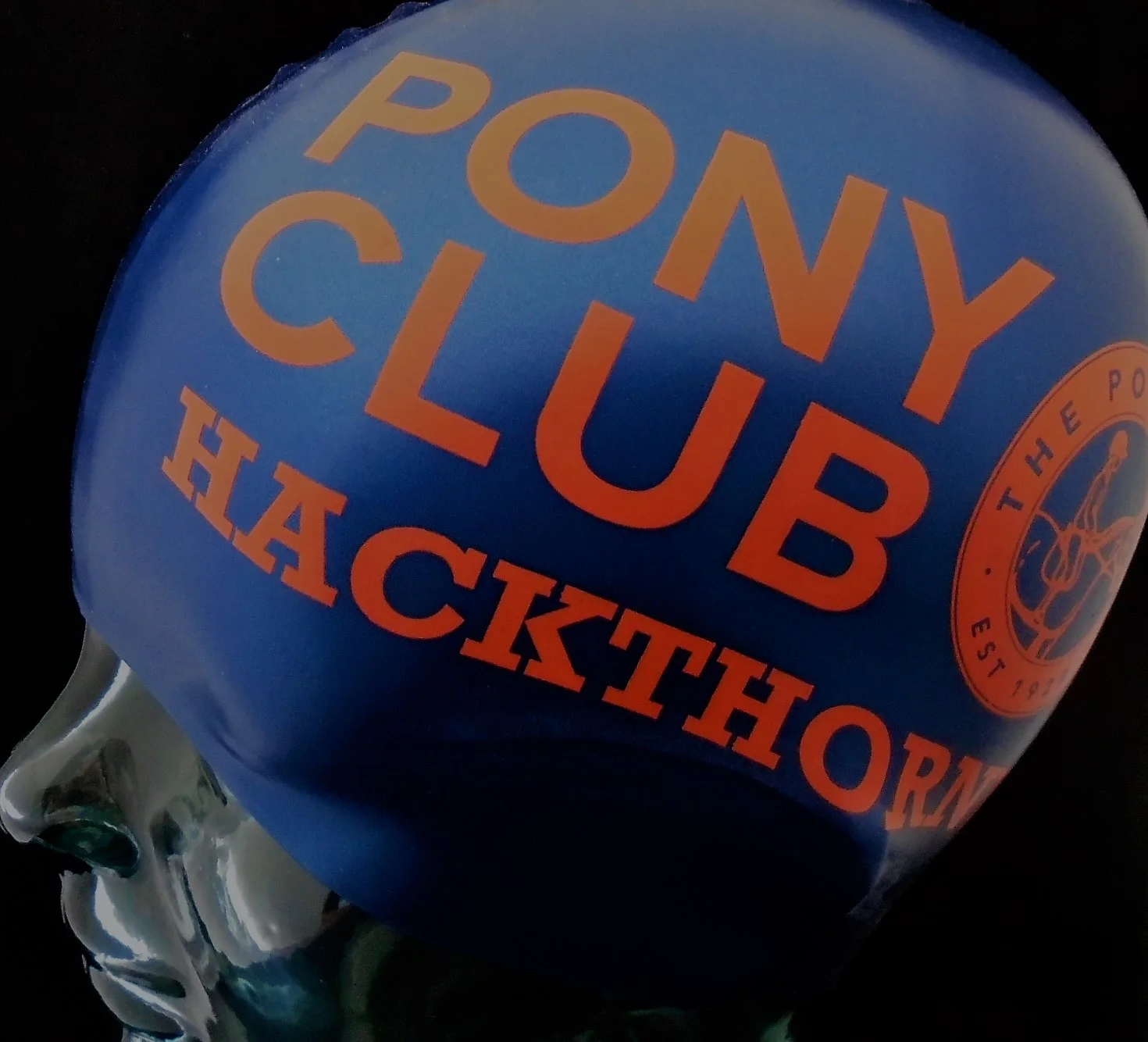 Pony Club Hackthorne.jpg