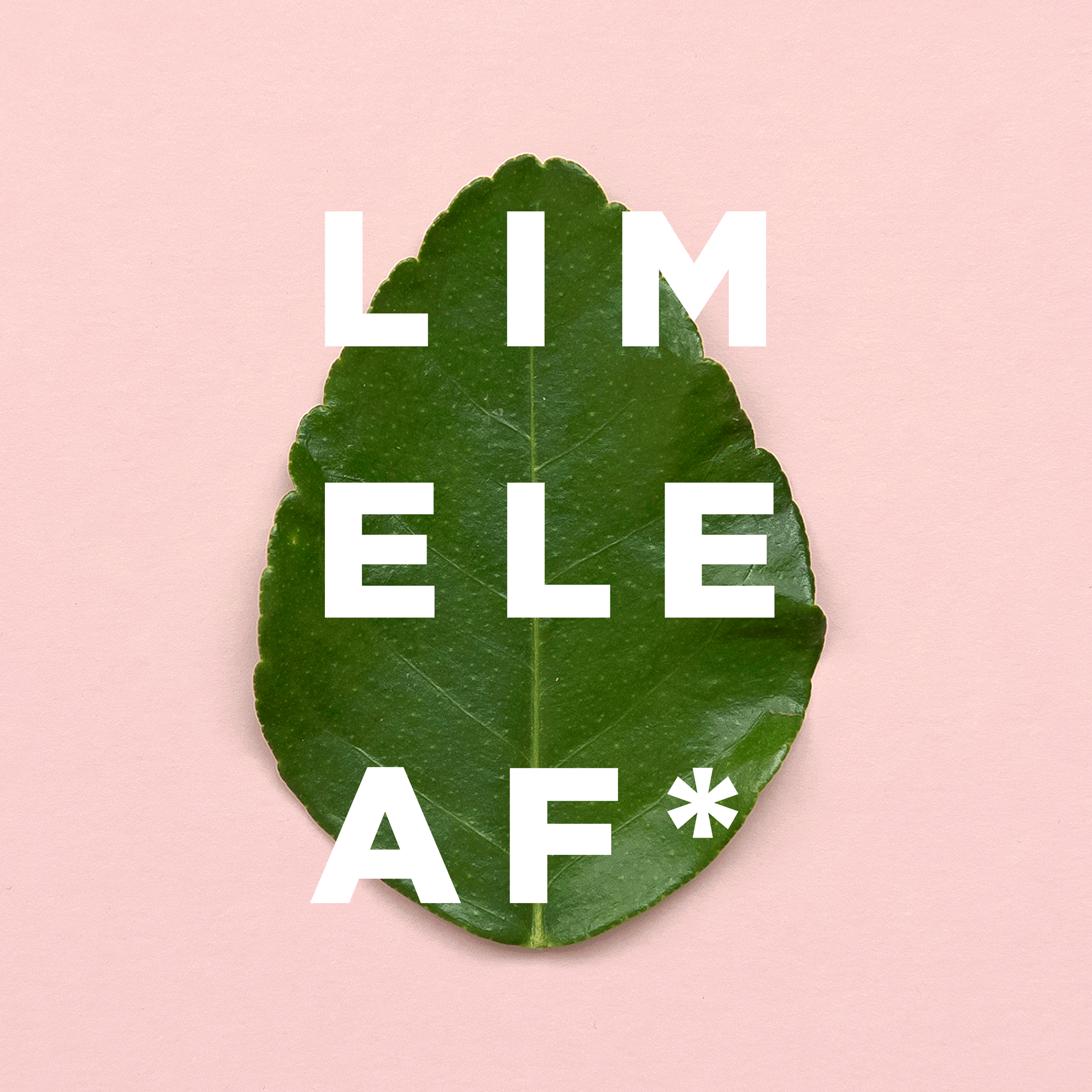 Limeleaf_animation_NEW.gif