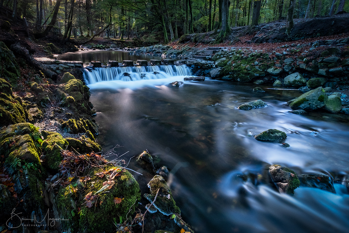 ND0017 Shimna River, Tollymore, County Down