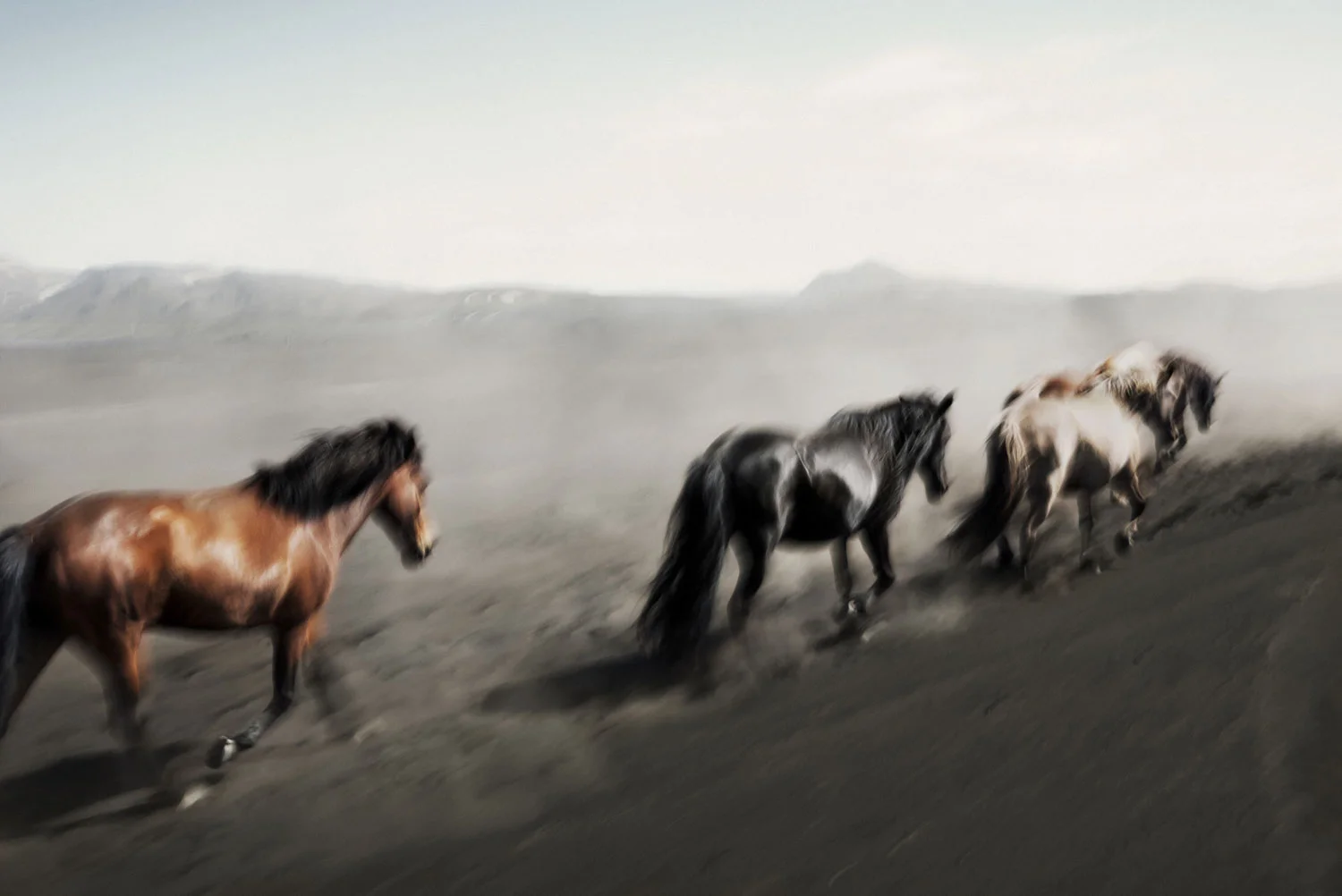 black lava fairytale©susanne_walström_26.JPG