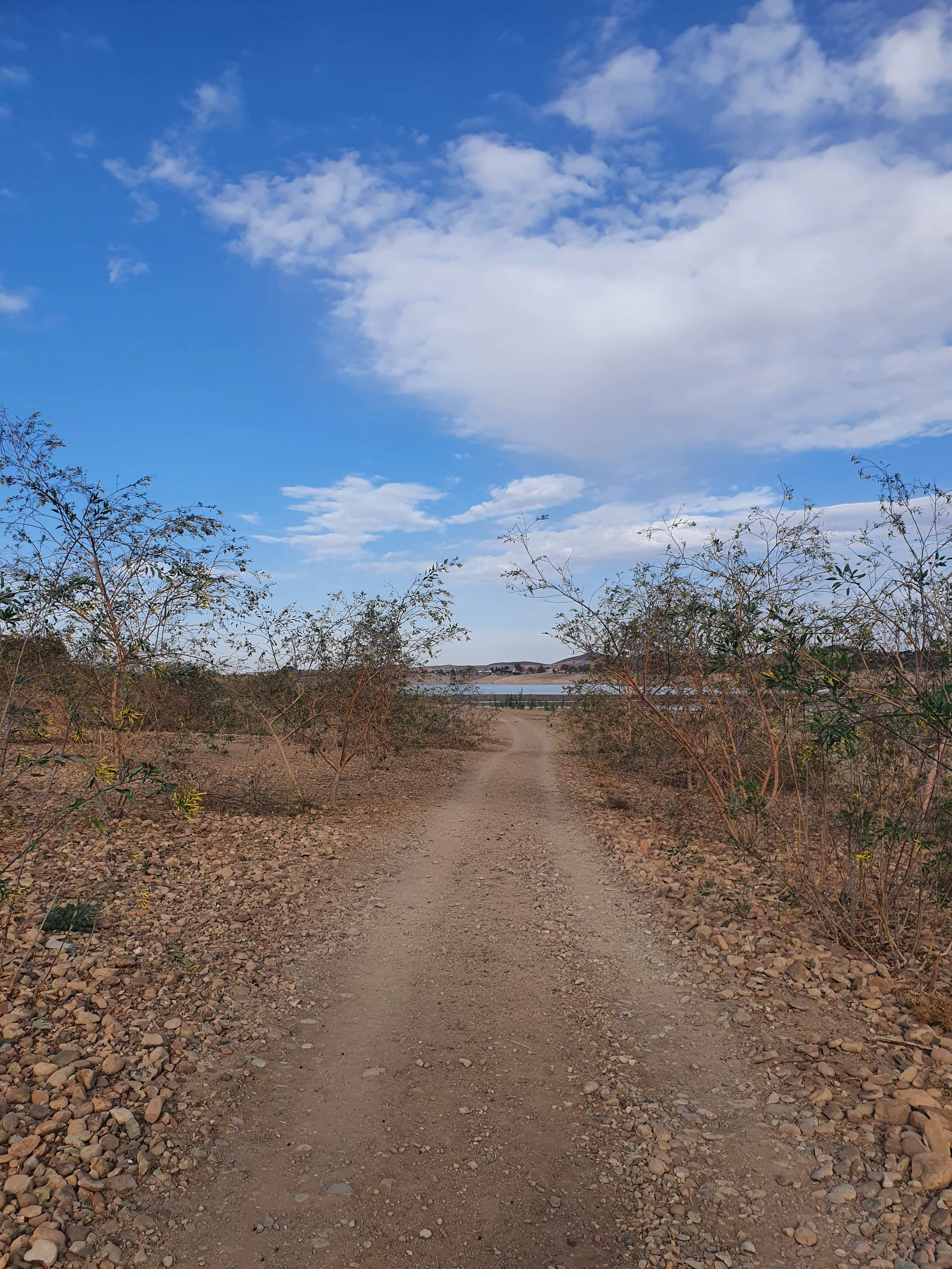 Dirtweg door dorre struiken naar een meer met een heuvelachtig landschap onder een deels bewolkte blauwe lucht.