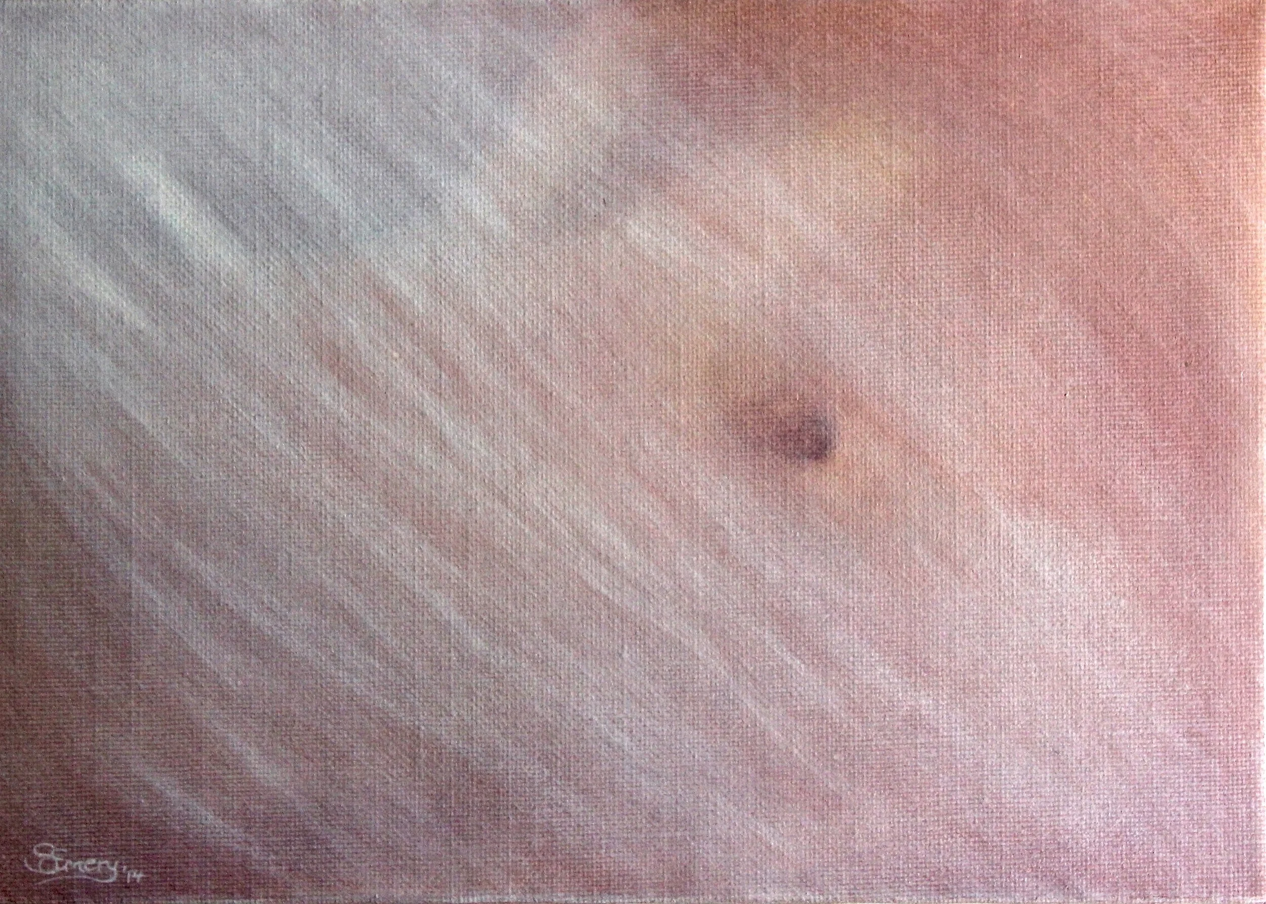 Rosewater Mist - 2013 acrylic on canvas 35cm x 50cm