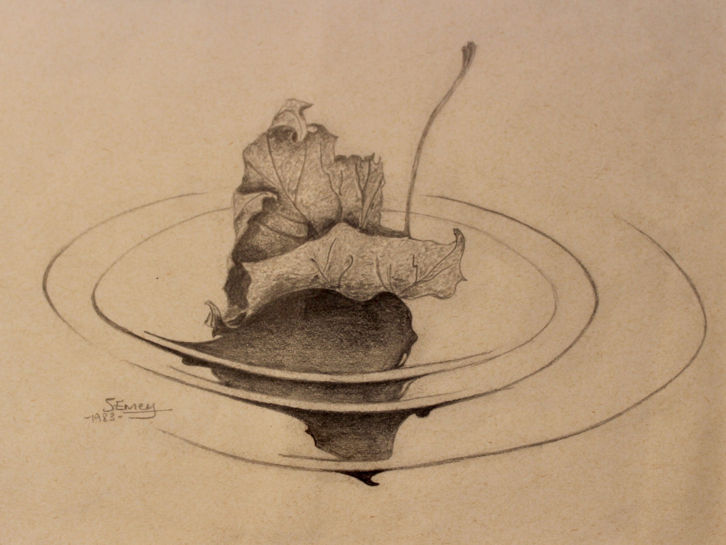 For Grandpa - 1983 pencil on paper 21cm x 25cm