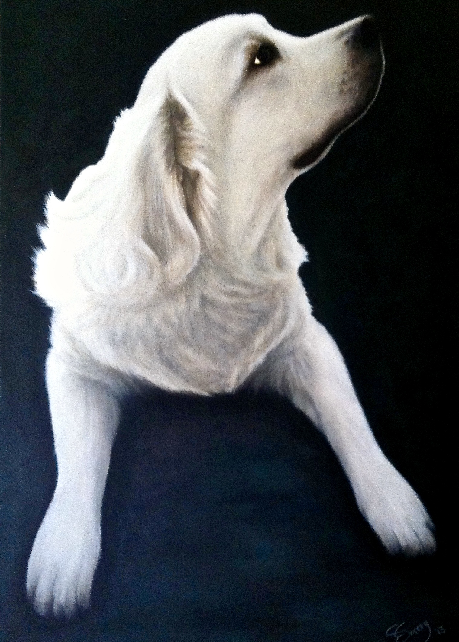 Leo - 2014 acrylic on canvas 76cm x 102cm (sold)