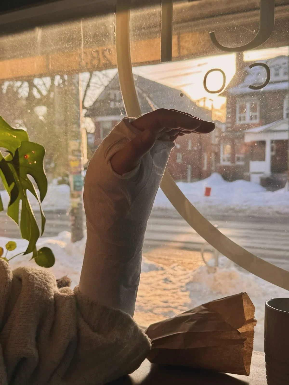 2026

January 13th changed my direction in a split second on a slippery downward slope followed by immediate surgery on my left radius 🦴 blessings often come in painful disguises. Getting a grip of one handed life has been challenging and rewarding 