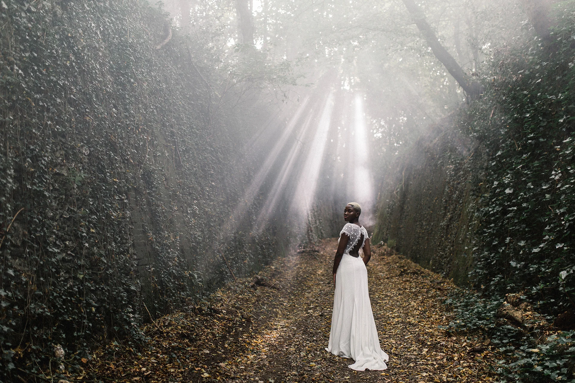 Light-within-the-Dark-4.jpg