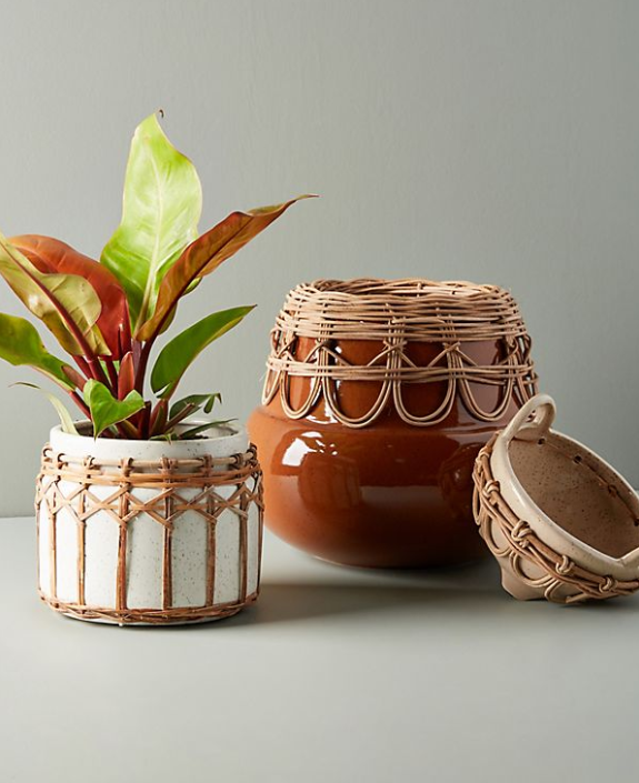 Pacifico Plant Pot