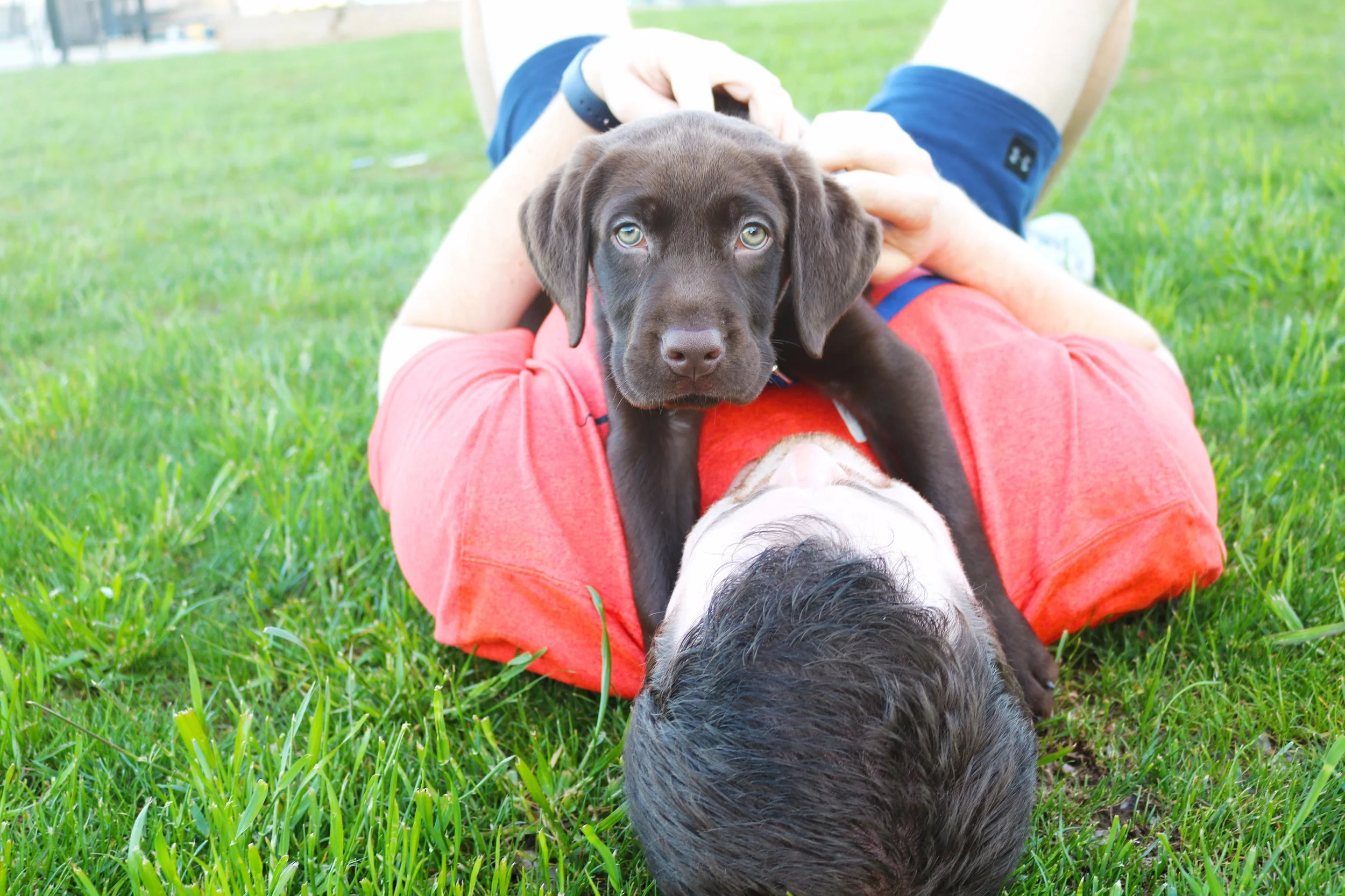 Major Life Update: MEET JAKE!