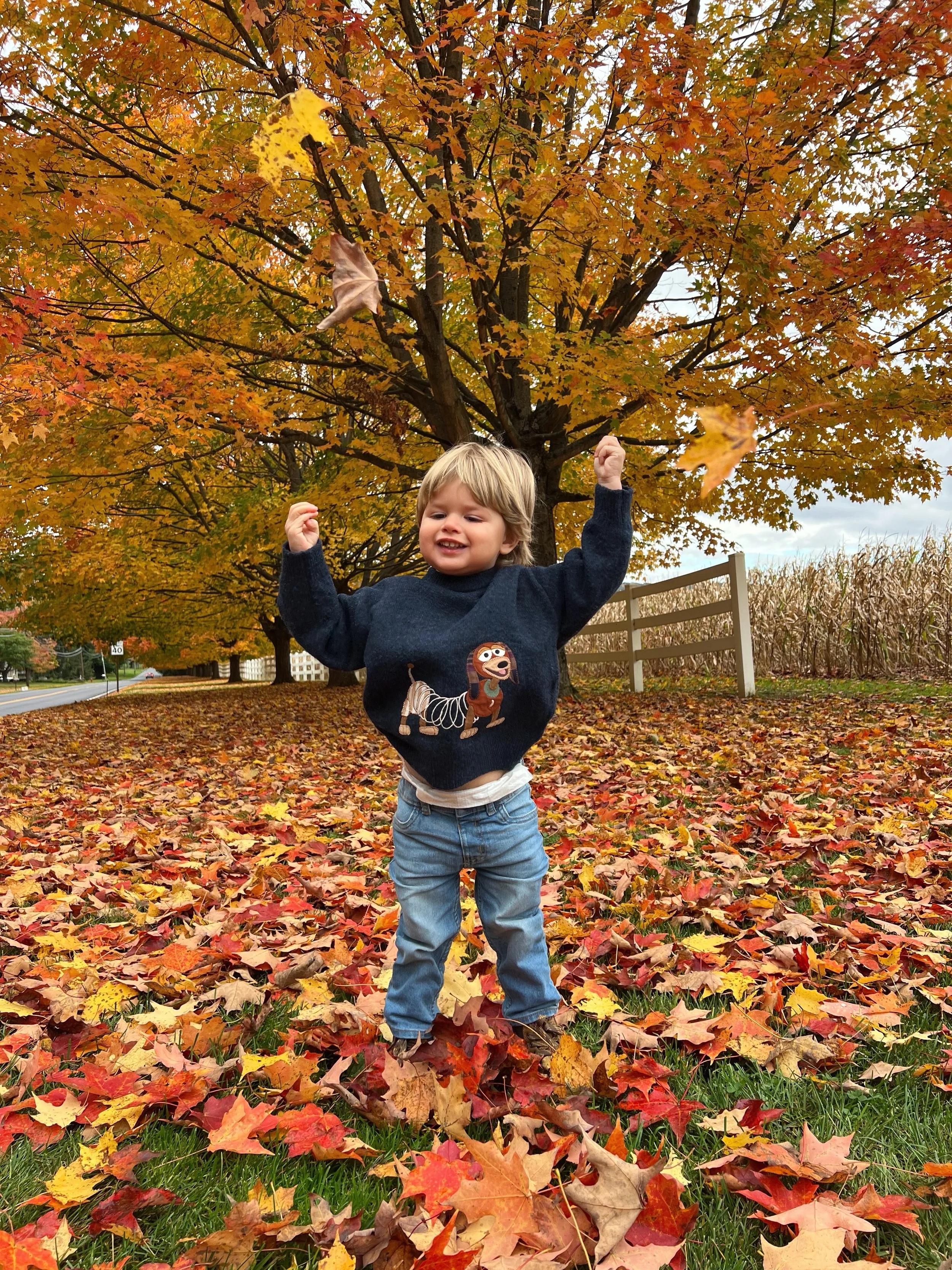 Really enjoying this Fall thing🤎