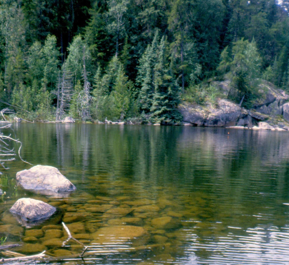 Freshwater Habitat Assessment
