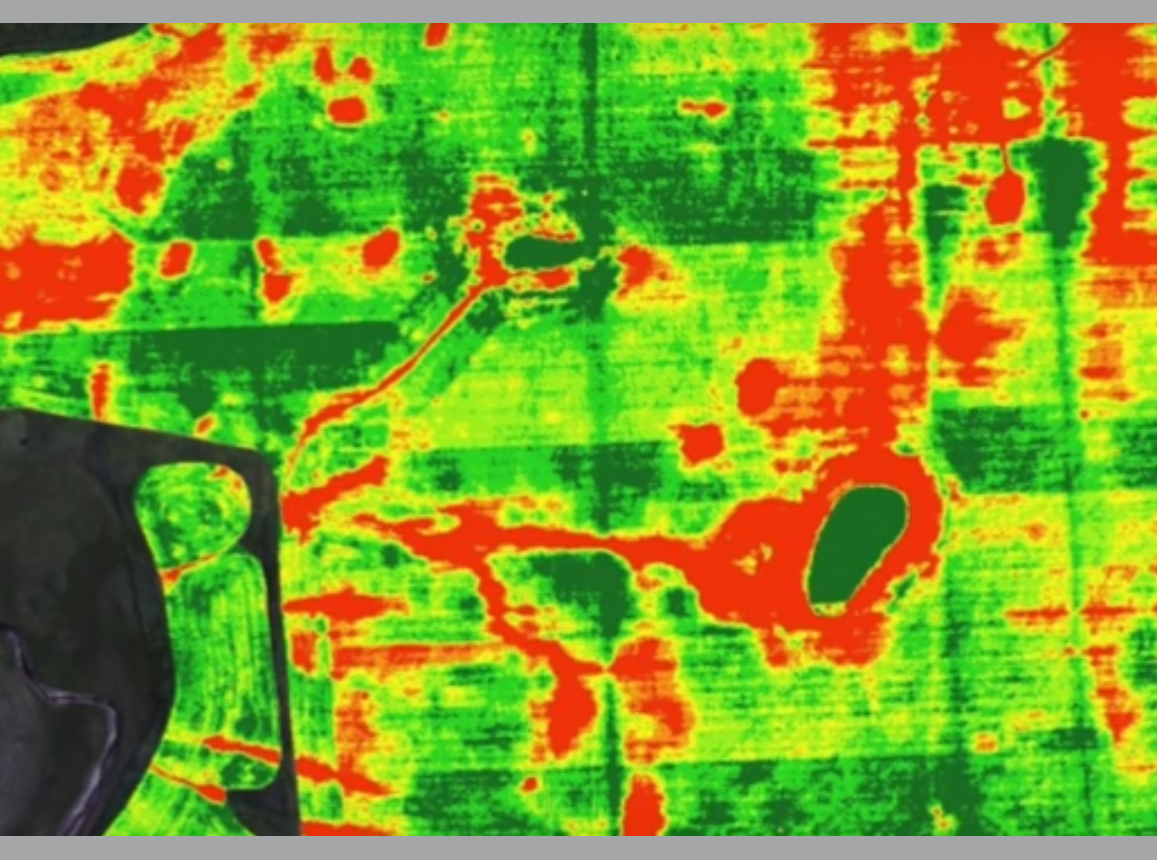 UAV - NDVI