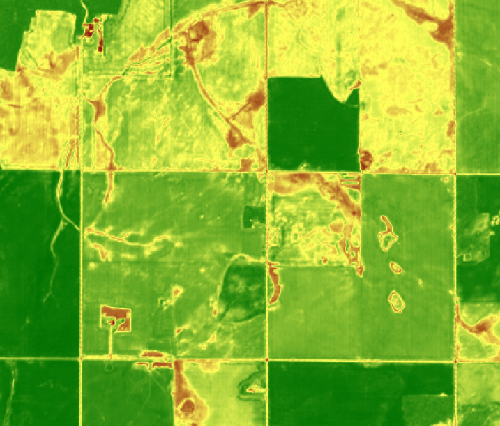 High Res Satellite - NDVI