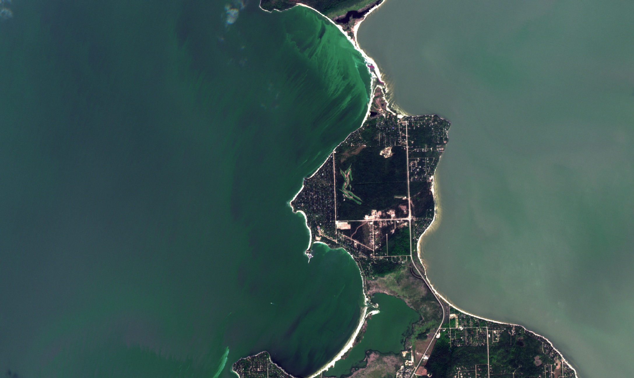 September 3, 2018. A zoom in of the above image showing high concentrations of algae at Hillside and Victoria Beaches. Waves crested green on this day on the peninsula south of Elk Island. The cusped shape of the shoreline holds the transported algae and builds concentrations higher than would be sampled in the offshore zone on this day.