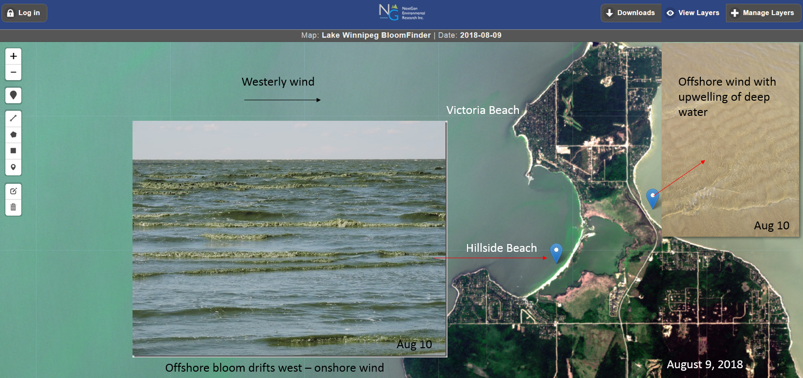 Satellite image August 9, 2028 showing how water movements influence the beach conditions. Beaches with onshore winds had abundant algae. In contrast, a beach 1 km away on the east side was a site of deep water upwelling of relatively clear water, which made for some great R&R for a couple of days. The algae most common to the lake in summer are buoyant so the water masses that upwell from the bottom remain relatively clear. Understand your lake and watch for upwelling events on BloomFinder!