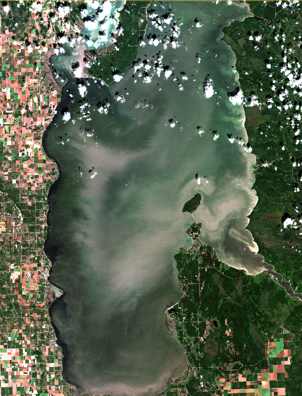 August 19, 2019. Westerlies continue to extend this summers dominant algal patterns. The dark band of water, which now extends along the entire west shore, indicates bottom water mainly free of algae has moved towards shore as offshore winds move the surface waters east. The algal blooms imaged here are strongly mixed in the water as this image was captured after strong west winds on Sunday August 18, less than one day before the satellite overpass. The intensity of these blooms look a bit more subdued when compared to images below captured in late July and early August under calm conditions when most of the algae floated to the surface. Bands of algae are now widespread in all areas of the basin, including Traverse Bay. The effects of winds on the blooms can are evident as branch-like patterns that be seen on an west-to-east axis, and in particular north of Gimli. If you are travelling to the lake the west beaches or Patricia Beach are the best option now. Most the east beaches are now exposed to varying amounts of algal blooms as the bands of algae move with the west wind. Winds later this week are forecast to shift east and then later south which may help the east-side this weekend. Click here to look at the high resolution image data and see the waves push blooms into the Hillside Beach lagoon! Modied ESA data.