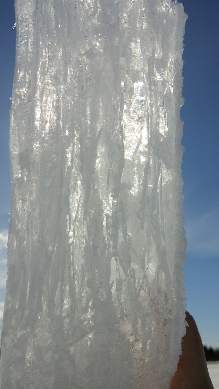 An ice core taken on the southern basin of Lake Winnipeg just a few days after melt onset. Vertical channels are evident in the core when back-lit from the sun, indicating changes in the structure of the ice started. 