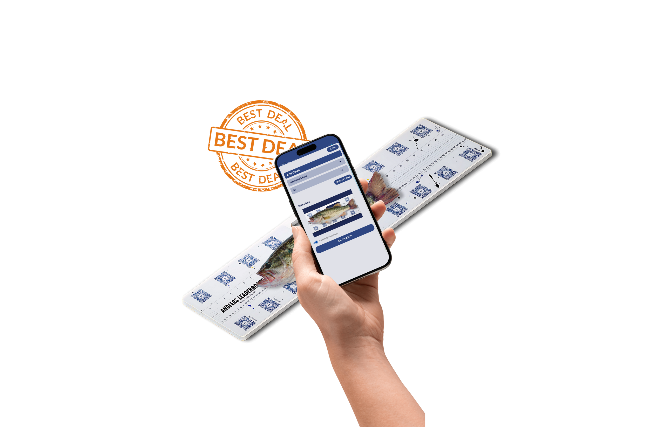 About - Bundle Offer.png