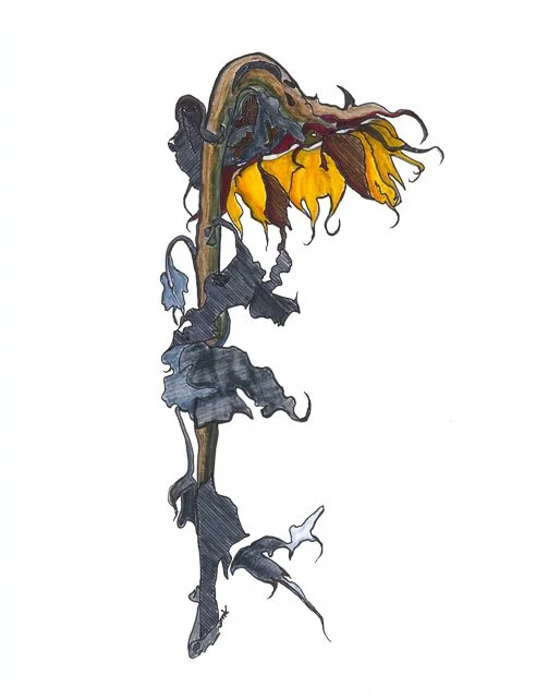 Sunflower-Final.jpg