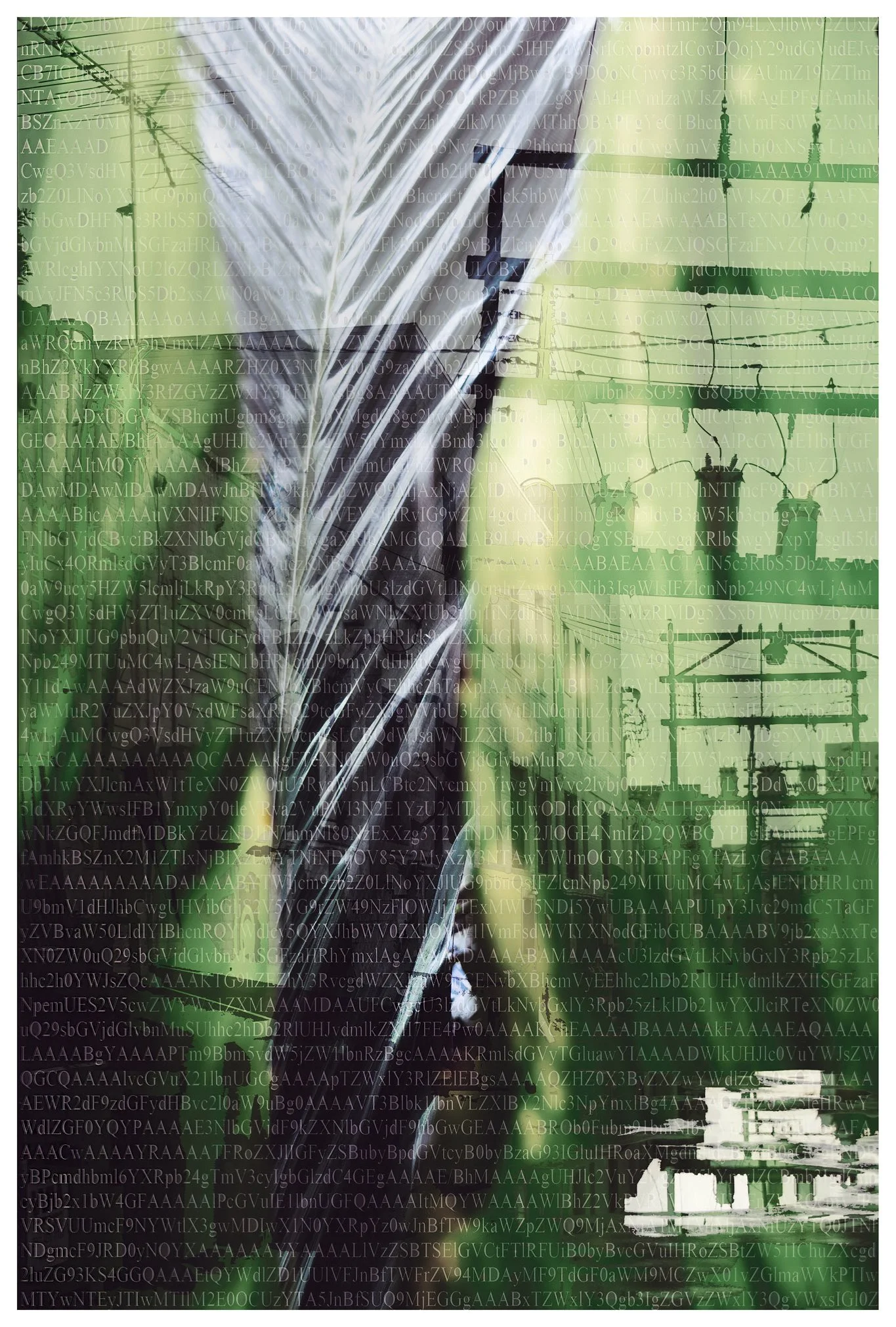 Final_Color-Fresh2026-Final-Original copy.jpg