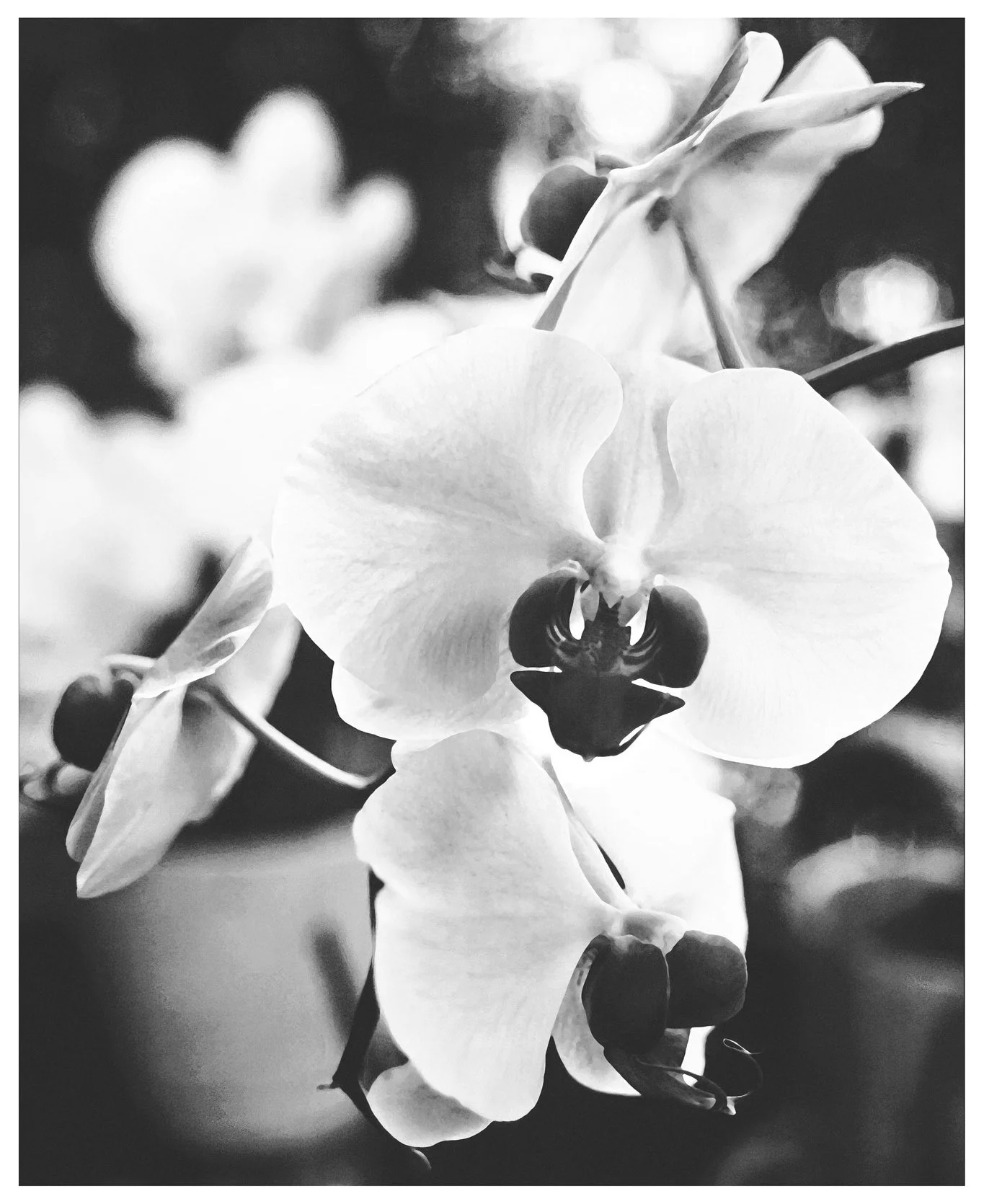 img001_edit_35mm 7K copy.jpg