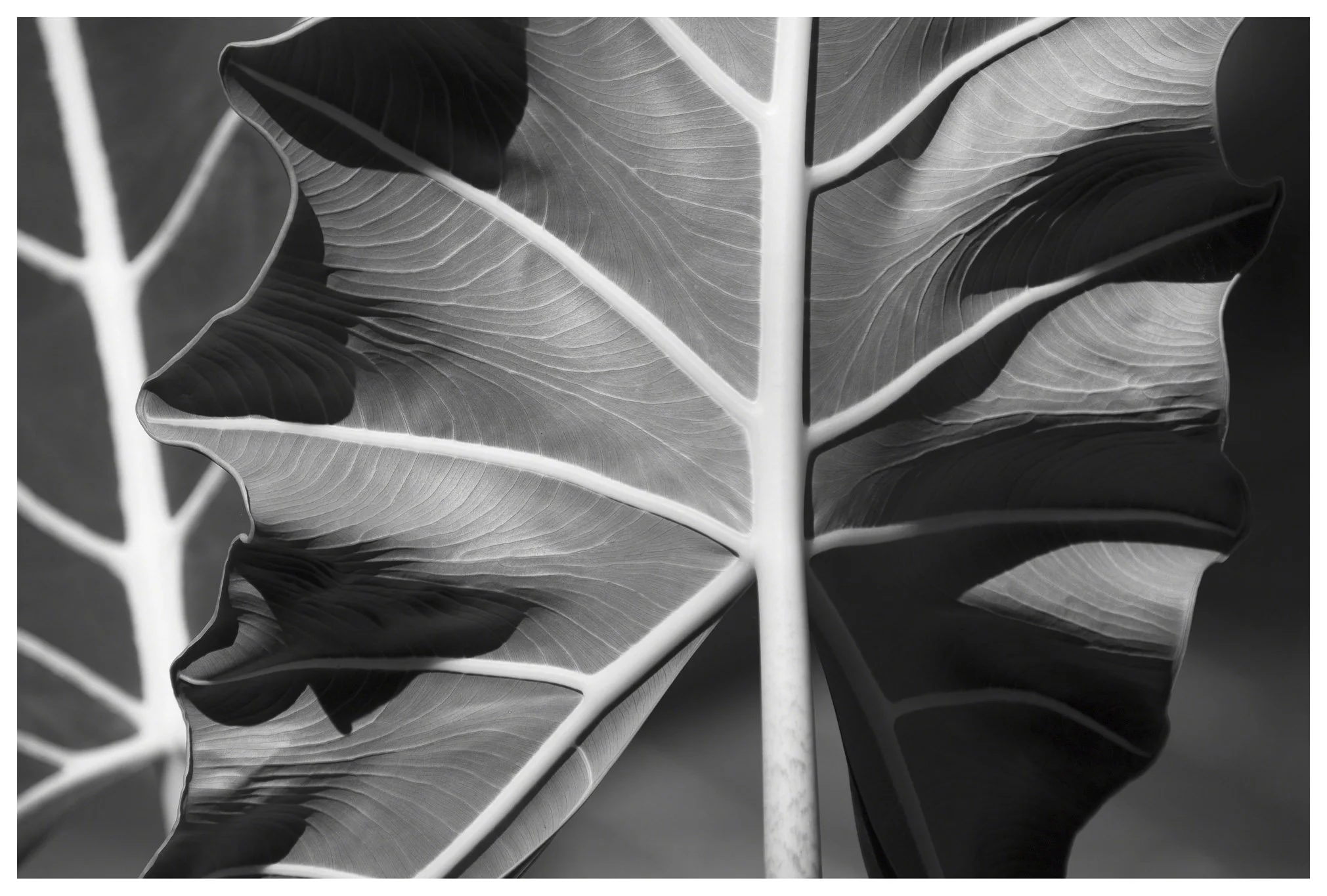 JMW_DSC0025_025_PL copy.jpg