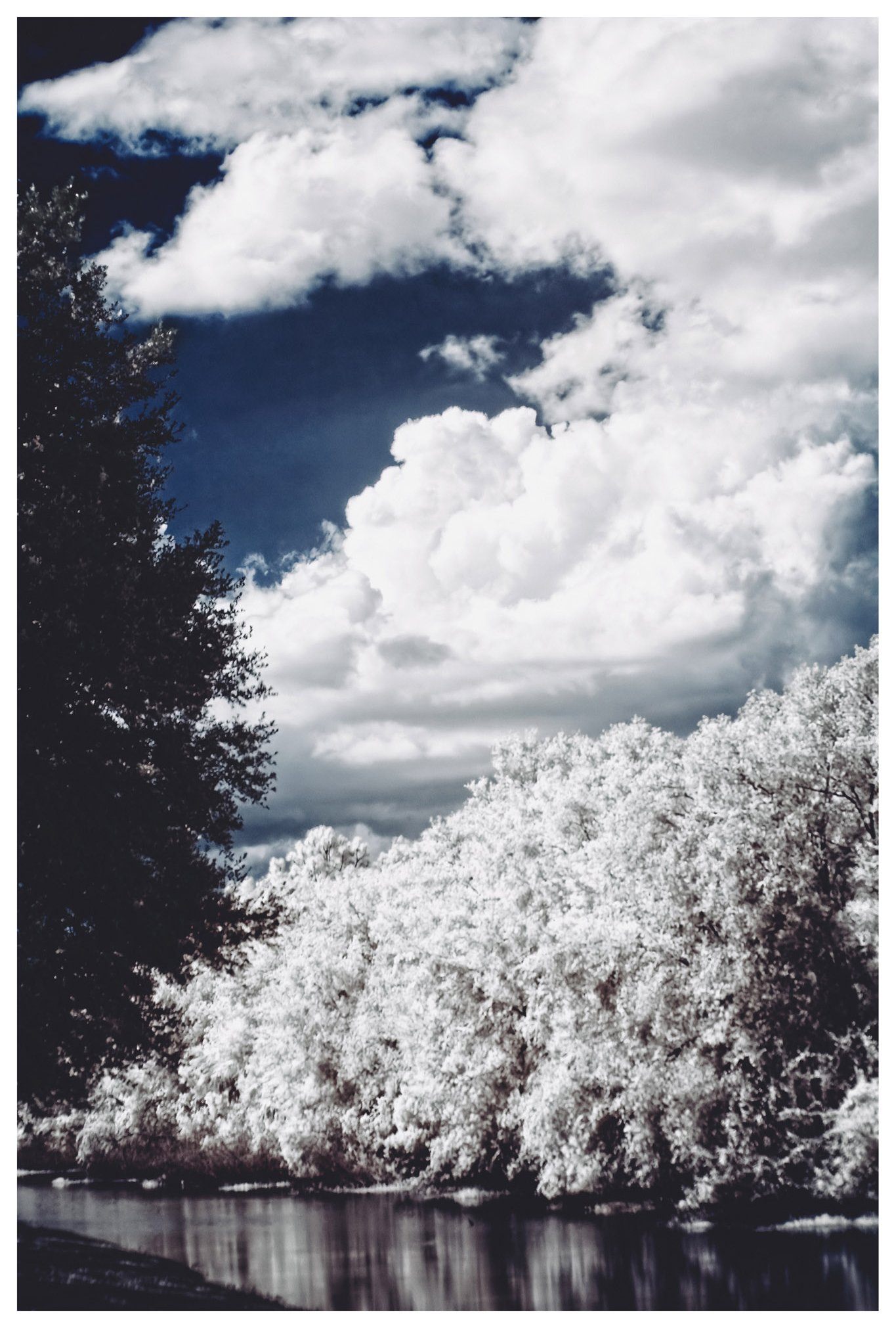 JMWDSC_0019_018_PL copy.jpg