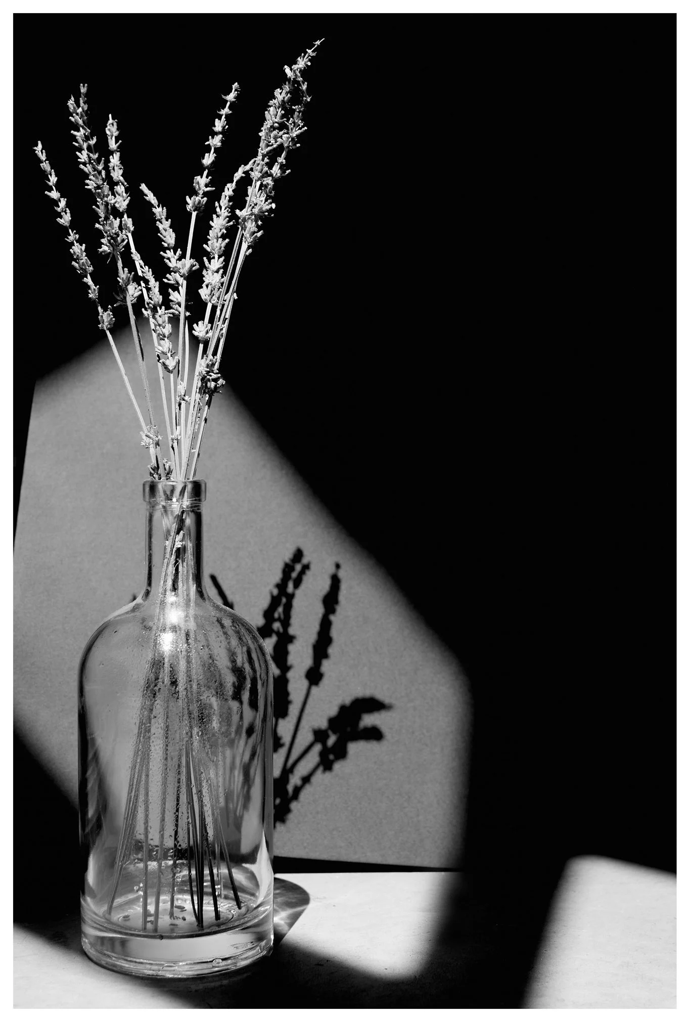 JMWDSC_0040_040_PL copy.jpg