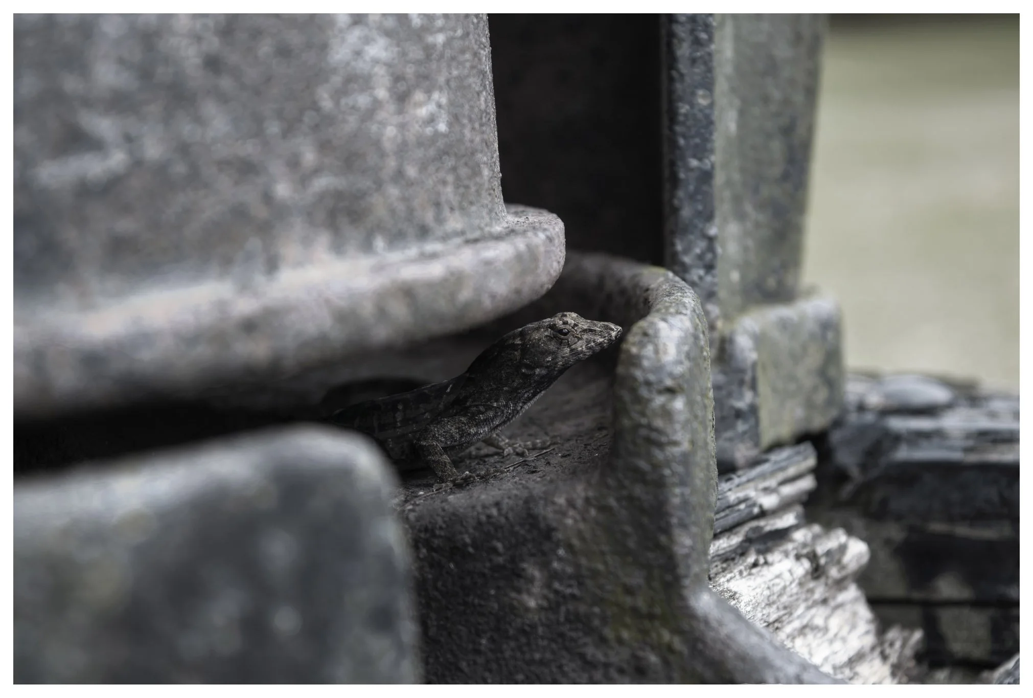 JMWDSC_0041_041_PL-2 copy.jpg