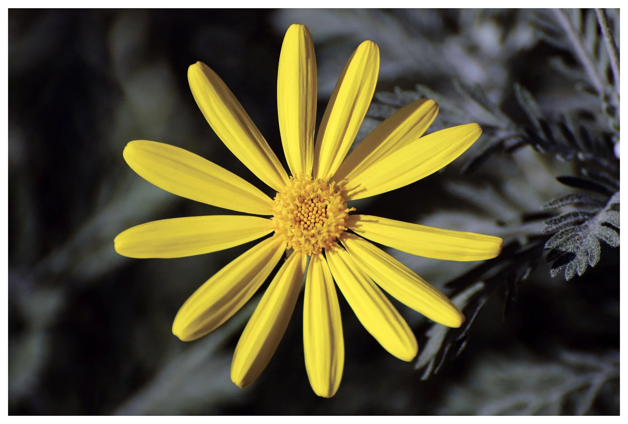 JMWDSC_0054_054_PL_screen02 copy.jpg