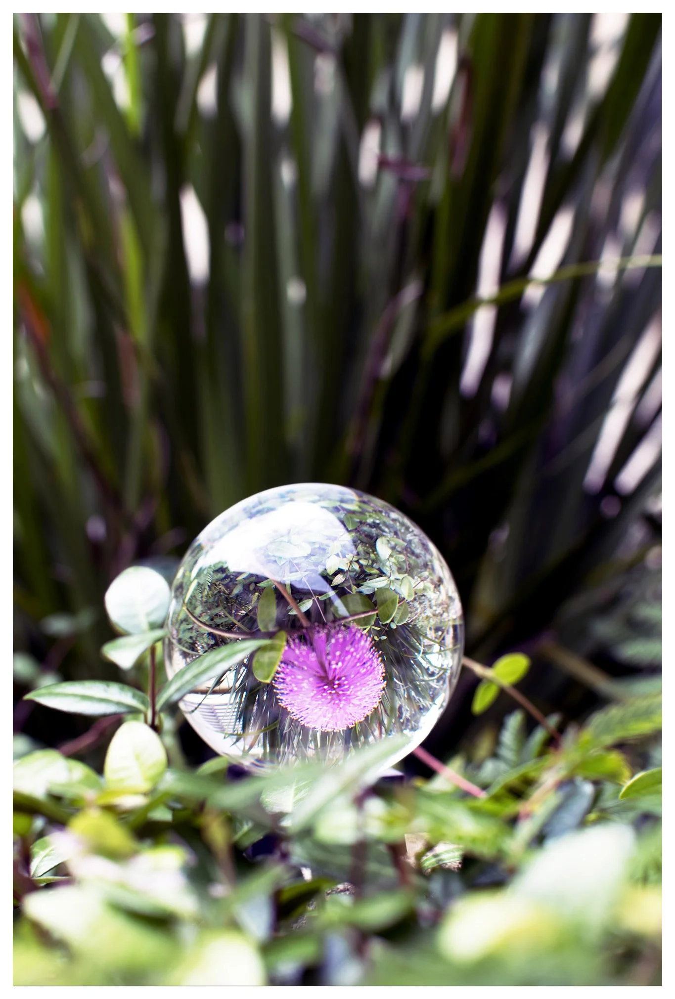 JMWDSC_0056_056_PL copy.jpg