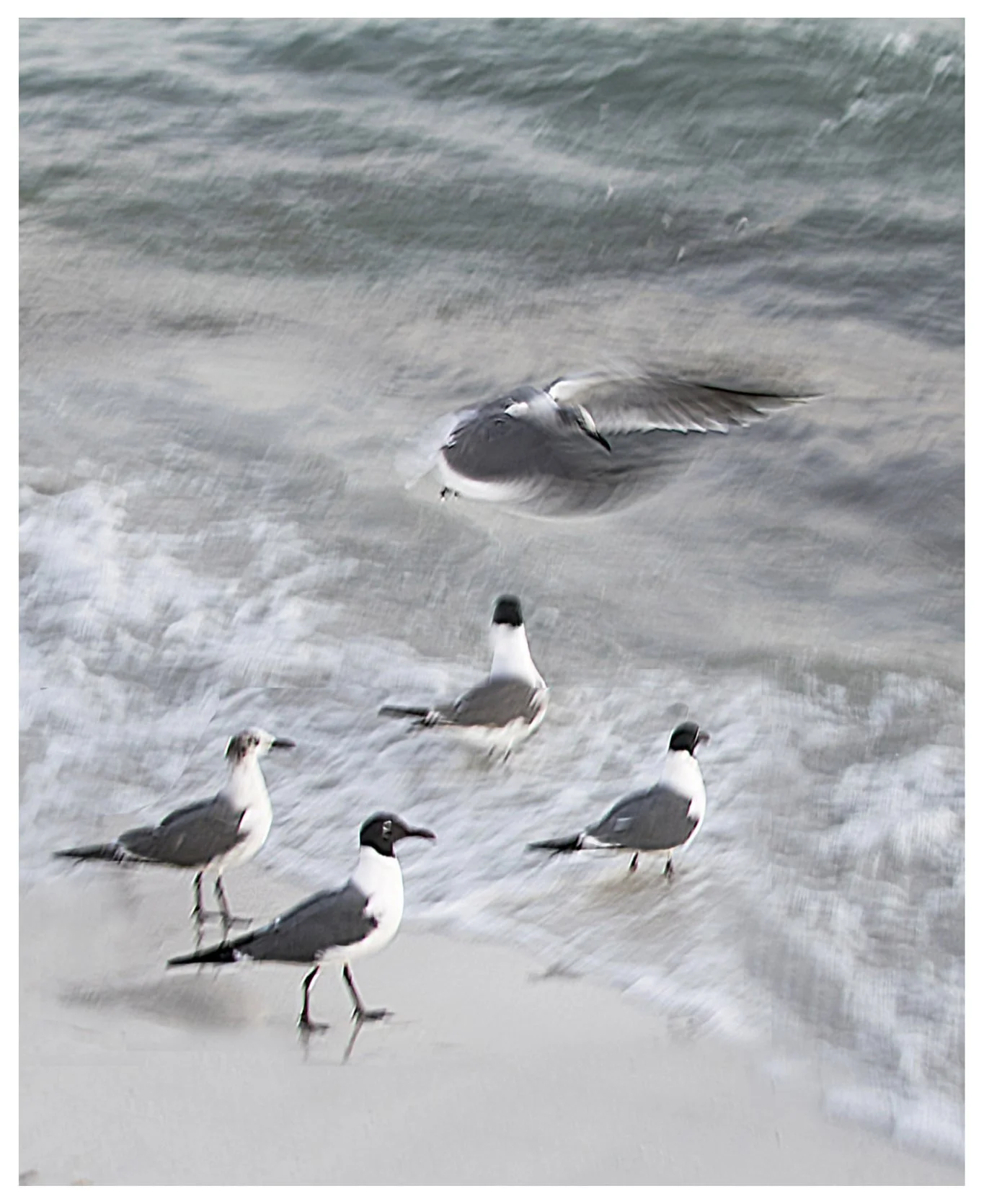 JMWDSC_0105_105_PL copy.jpg