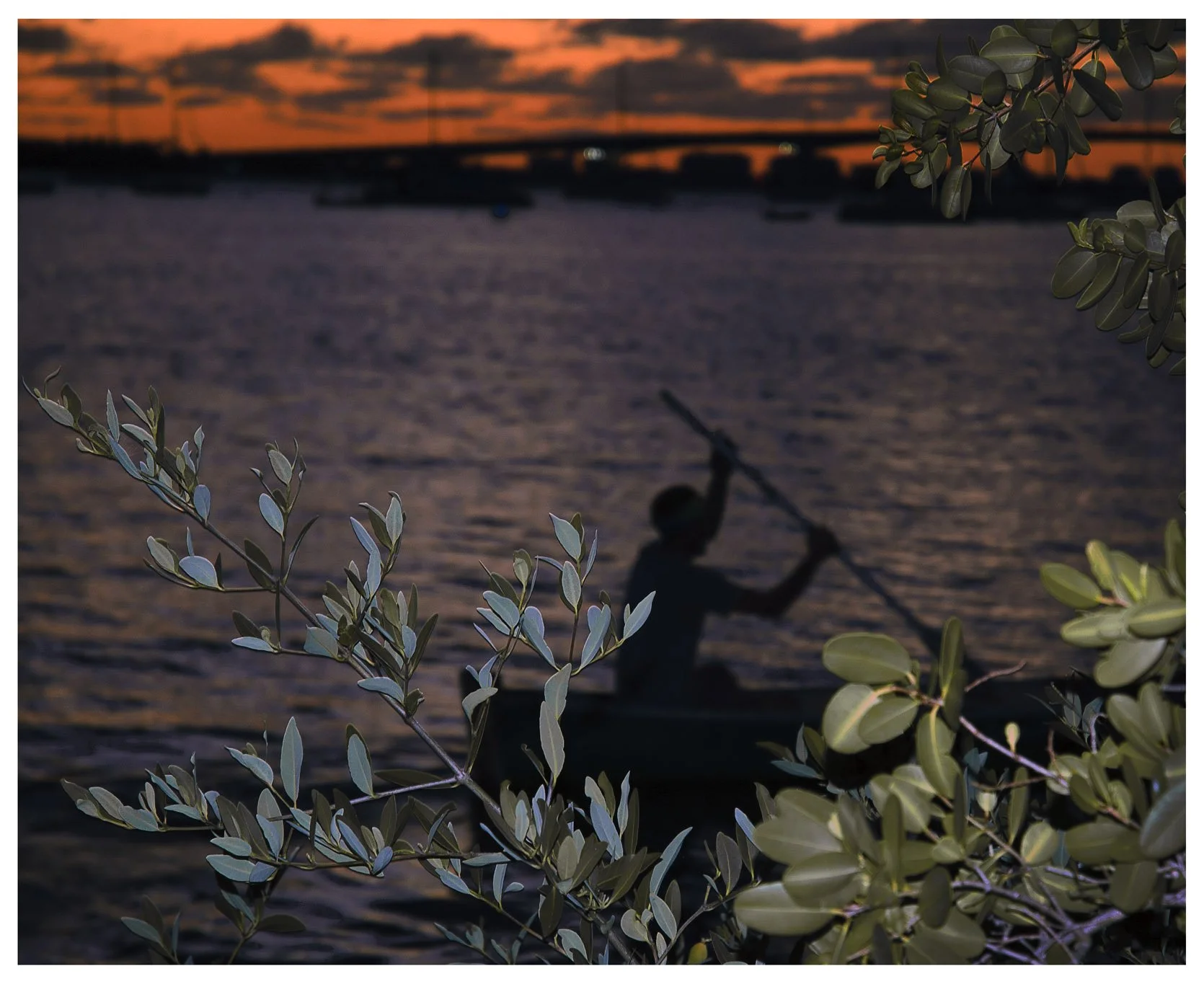 JMWDSC_0109_109_PL_8x10 copy.jpg