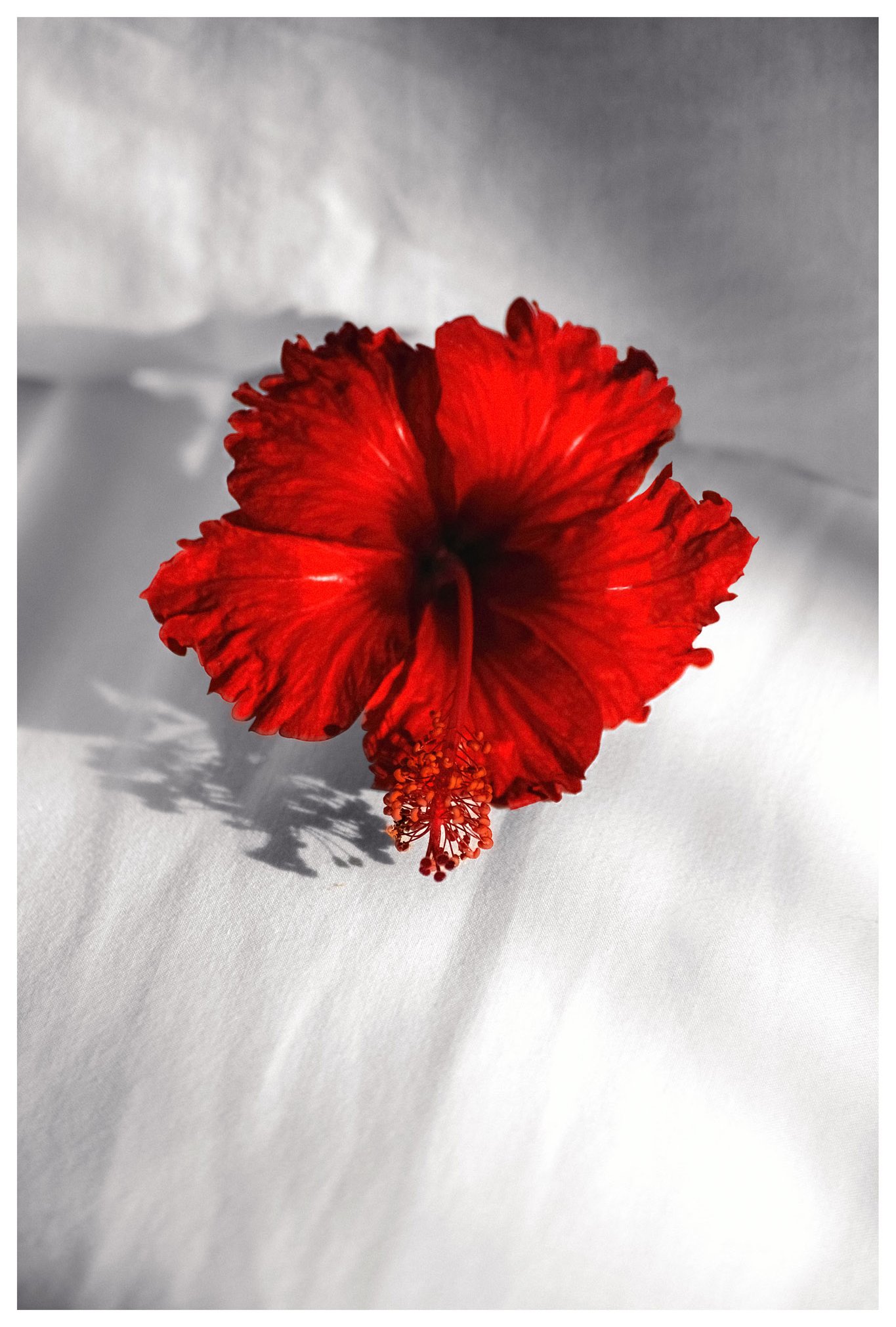 JMWDSC_0156_156_PL-1 copy.jpg