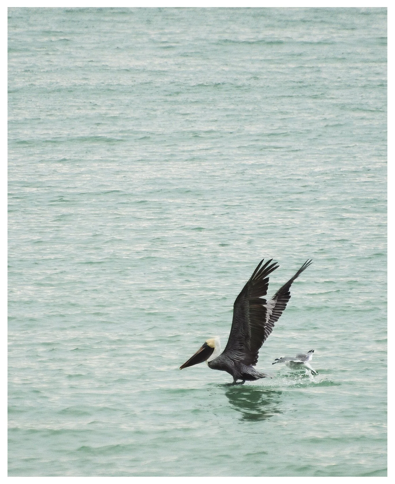 JMWDSC_0169_169_PL copy.jpg