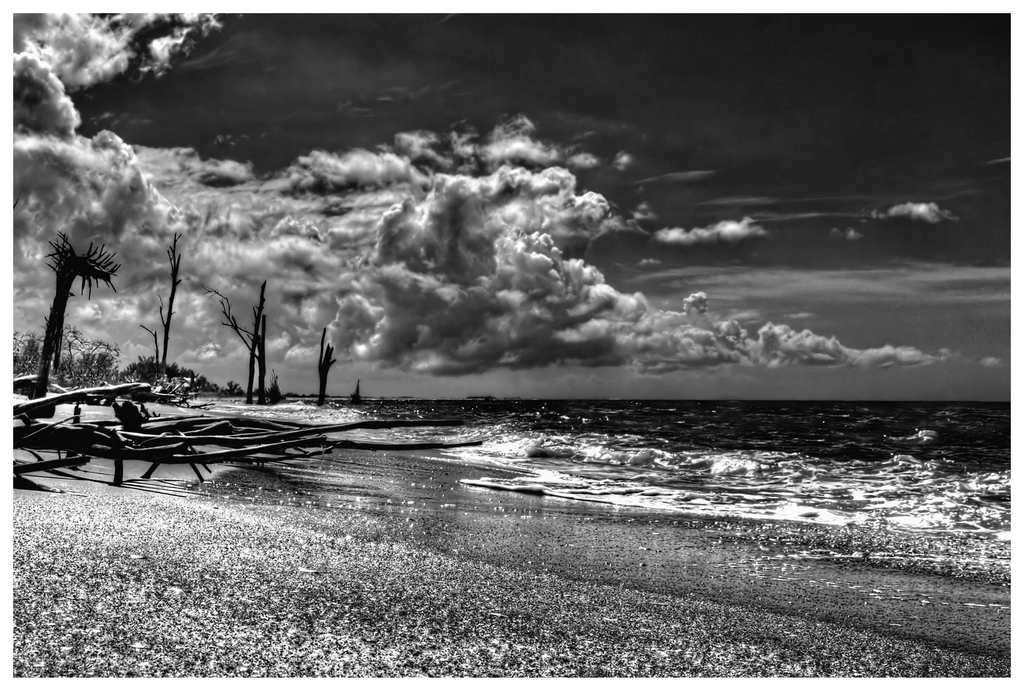 JMWDSC_0386_208_PL_tonemapped-2_bw_8x12 copy.jpg