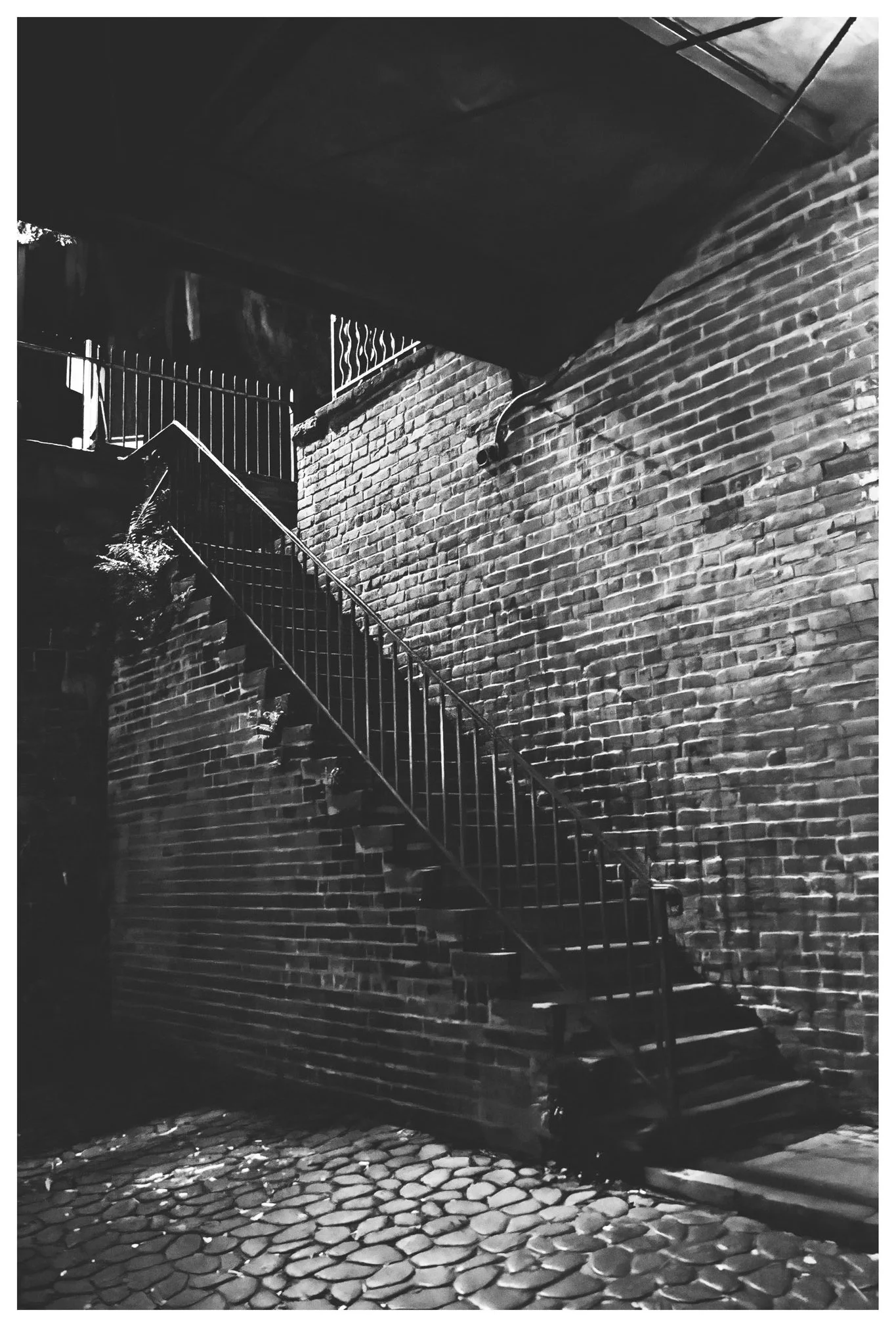 JMWDSC_0655_654_PL copy.jpg