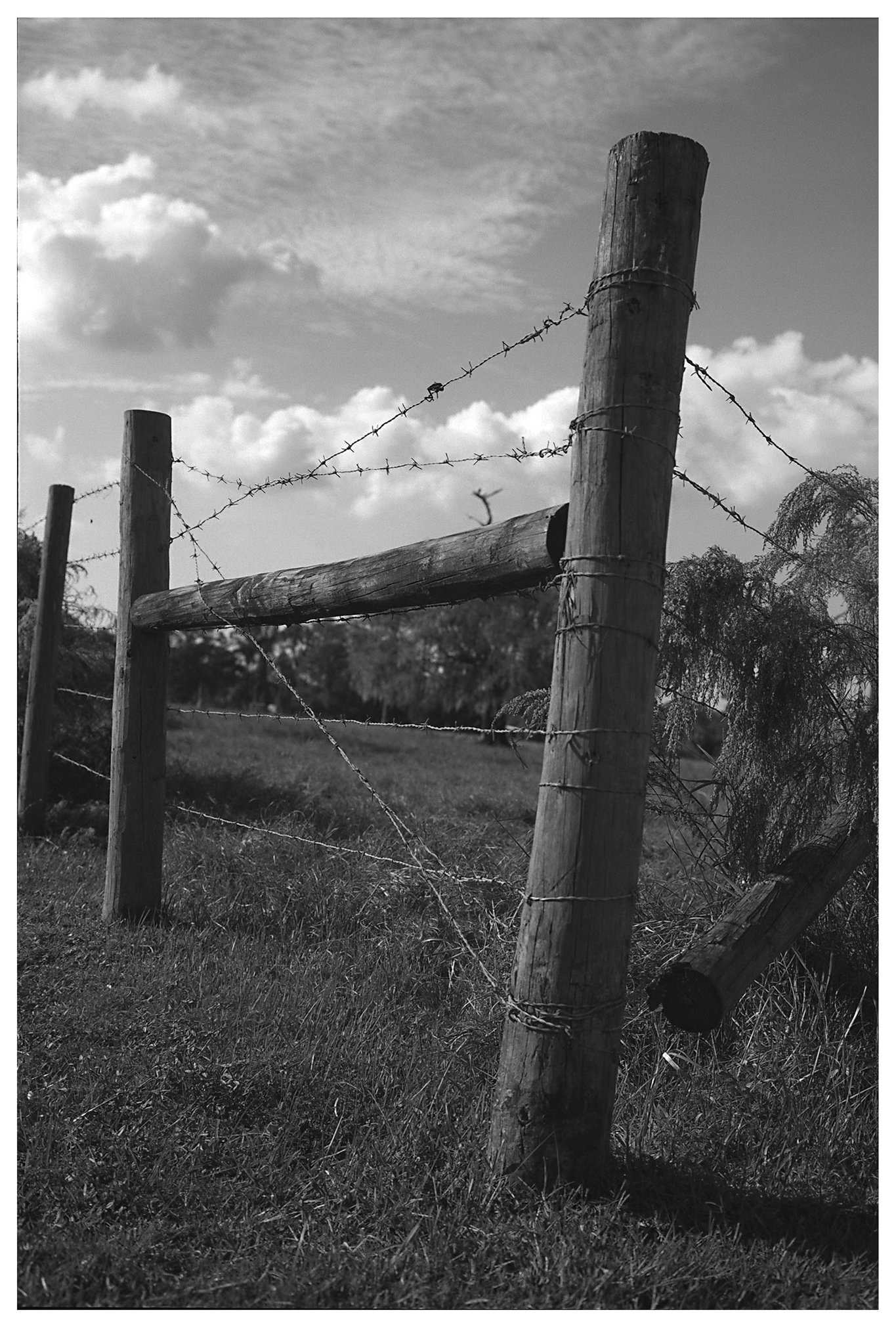 Scan531-Original-1 copy.jpg