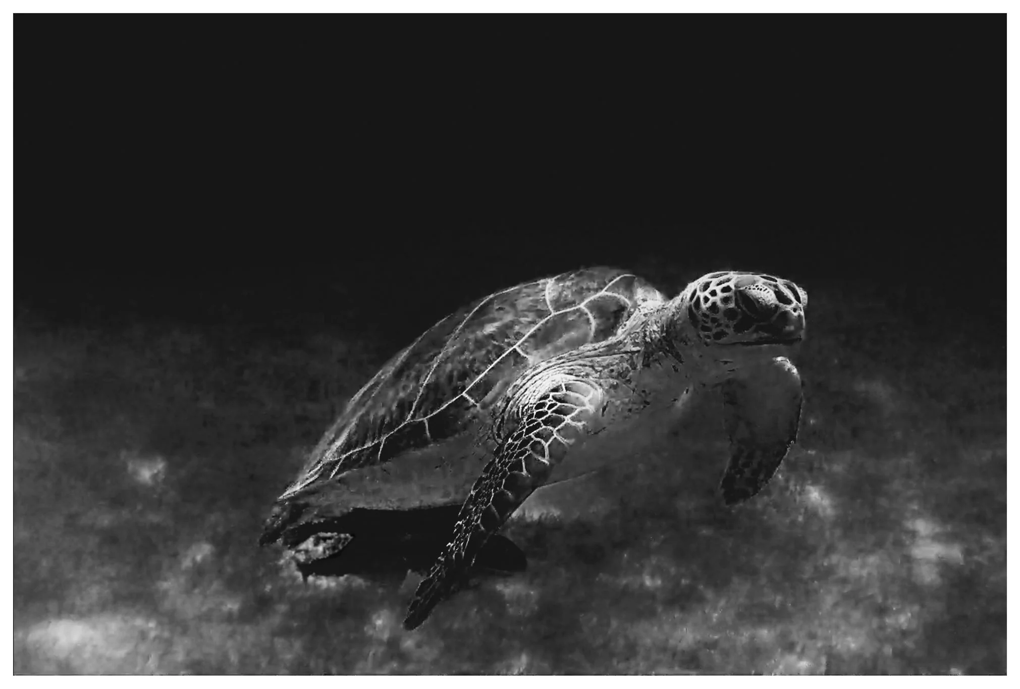 Sequence 01.Still003_1_bw_prnt copy.jpg