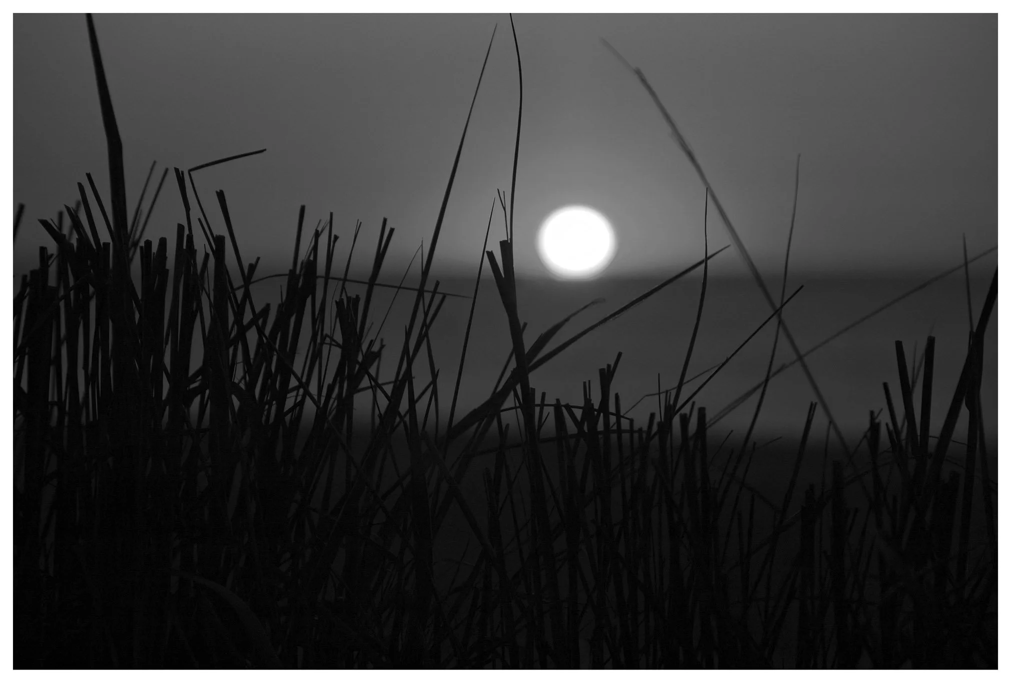 Z-JMW2012-05-11_0046D copy.jpg