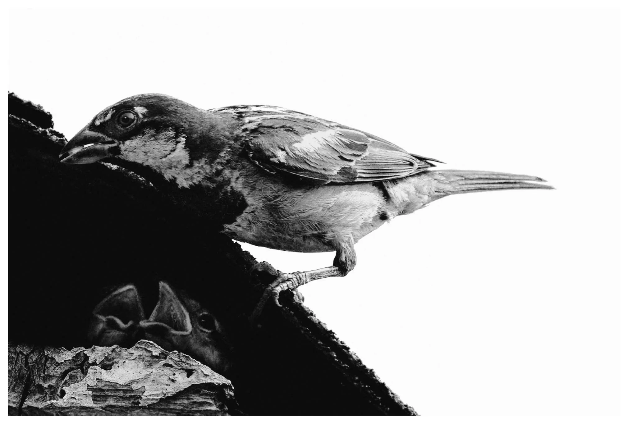 Z-zJMW2012-08-17_0024D4_corrected copy.jpg