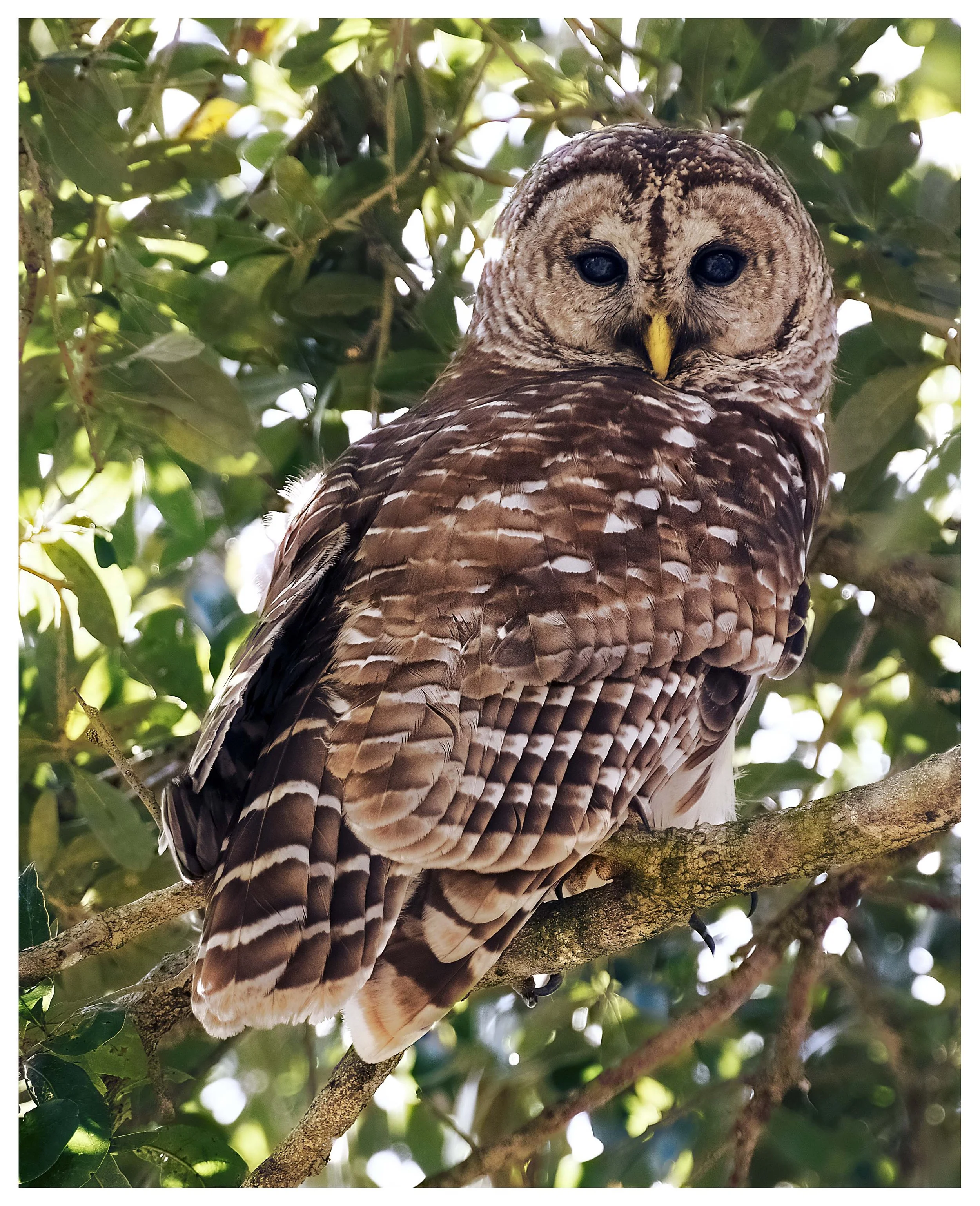 JMW_DSC0030-5Web_ copy.jpg