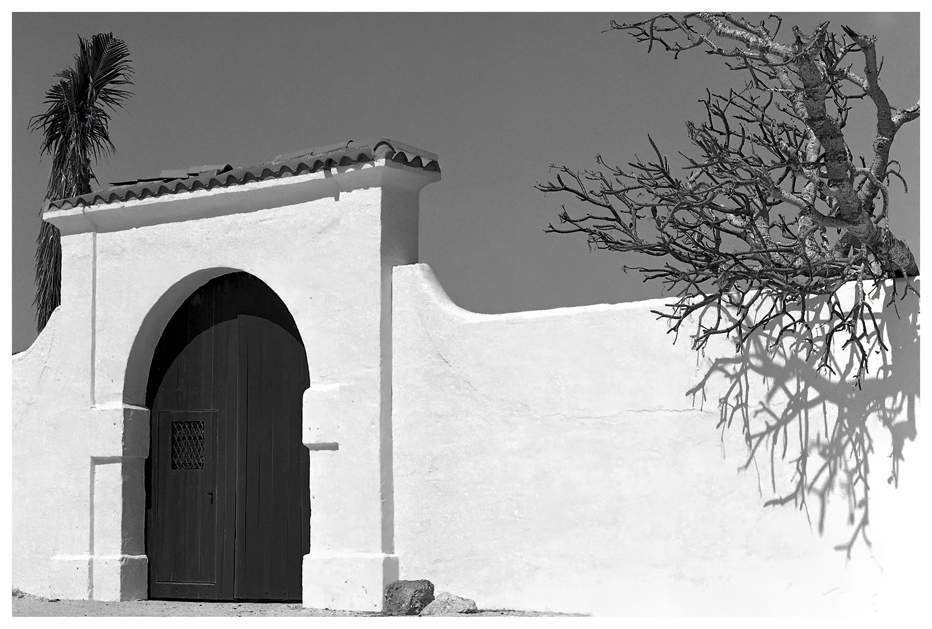 Scan587-1.Web.Border copy 2.jpg