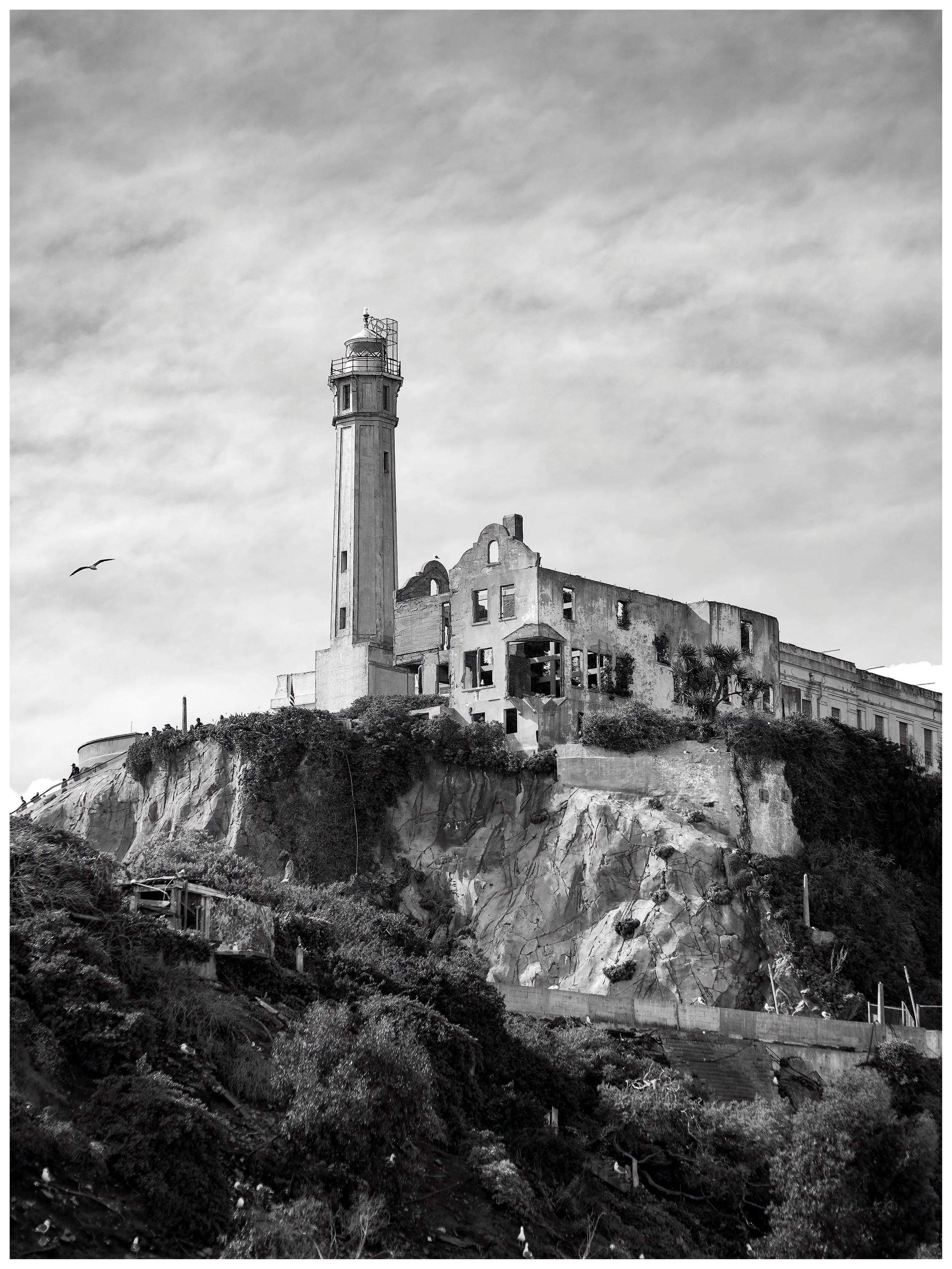 JMWDSC_1344_Alcatraz.Border 18x24.jpg