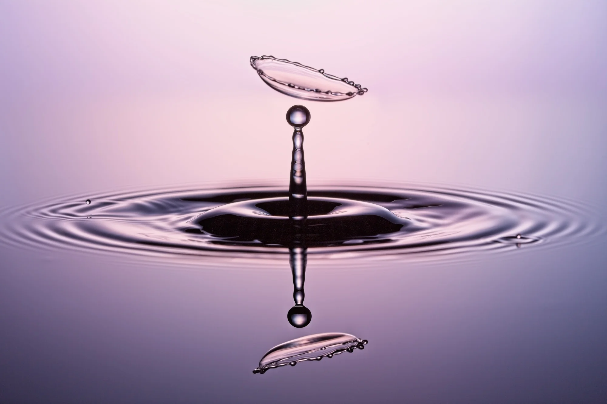 20140302_J6A9025 copy copy.jpg