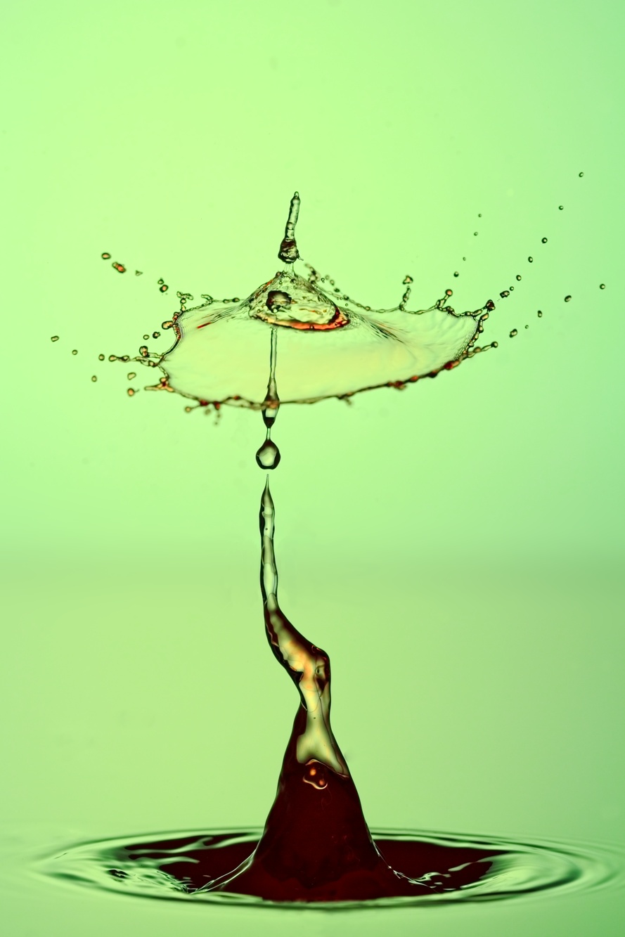 20150208_J6A4909 copy.jpg