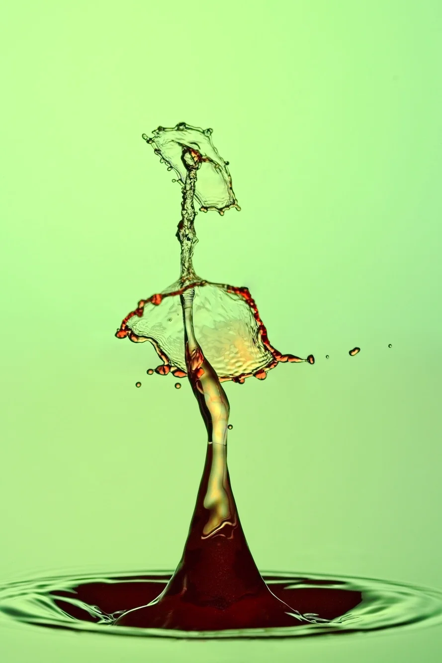 20150208_J6A4916 .jpg