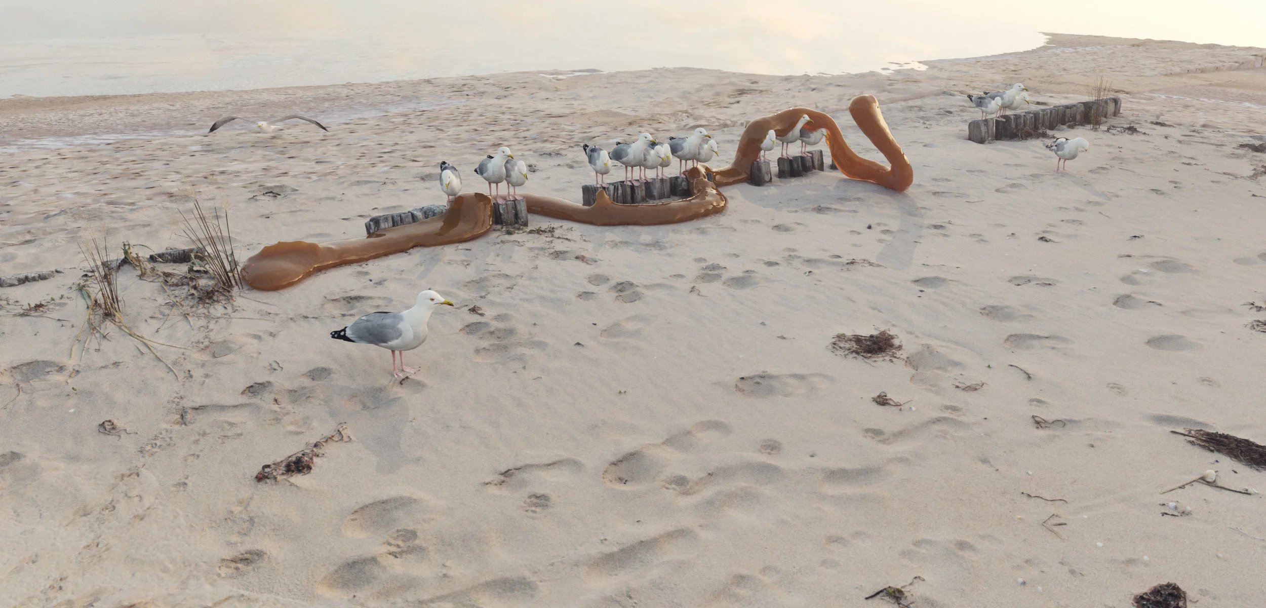 Strand+Seagulls+colaworm+kopiera.jpg