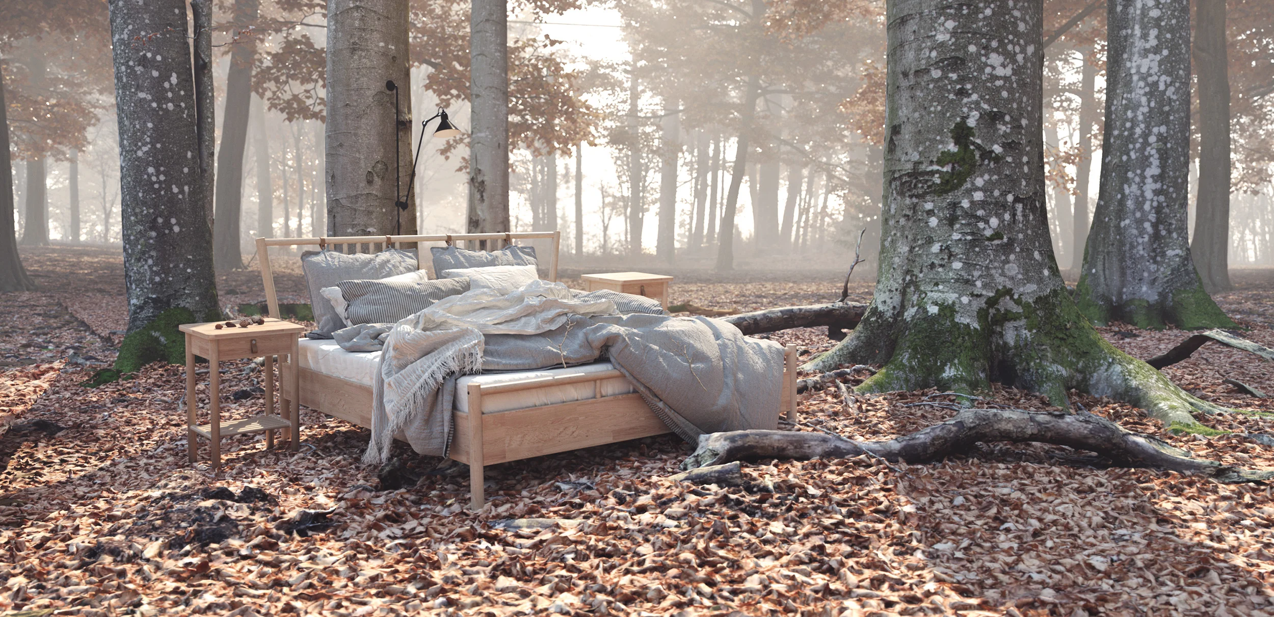 forest bokskog bed kopiera.jpg