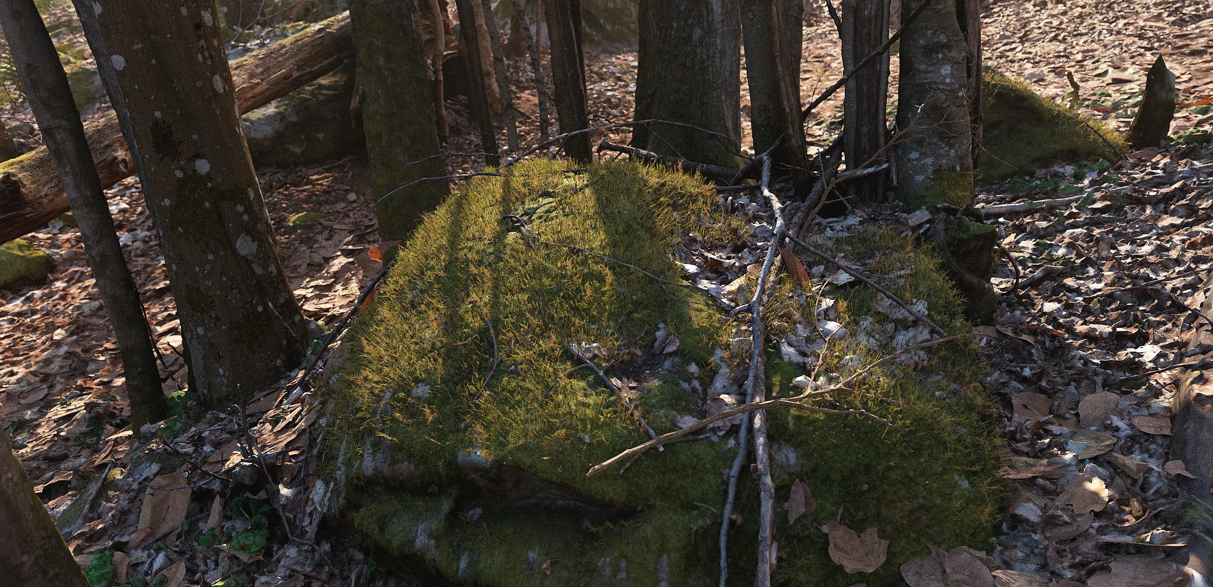forest sjostugan close2.jpg